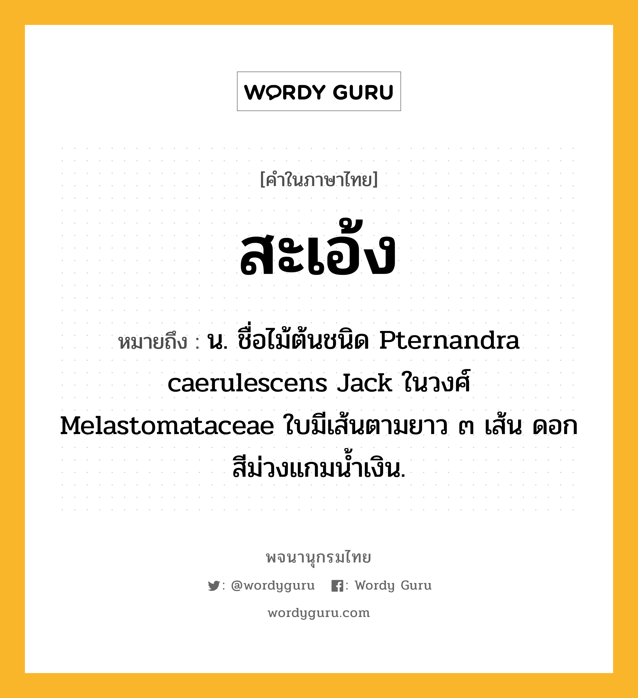 สะเอ้ง ความหมาย หมายถึงอะไร?, คำในภาษาไทย สะเอ้ง หมายถึง น. ชื่อไม้ต้นชนิด Pternandra caerulescens Jack ในวงศ์ Melastomataceae ใบมีเส้นตามยาว ๓ เส้น ดอกสีม่วงแกมน้ำเงิน.