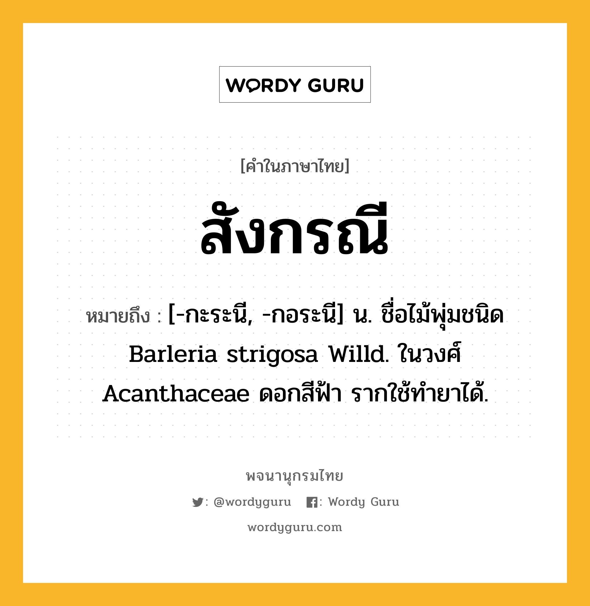 สังกรณี ความหมาย หมายถึงอะไร?, คำในภาษาไทย สังกรณี หมายถึง [-กะระนี, -กอระนี] น. ชื่อไม้พุ่มชนิด Barleria strigosa Willd. ในวงศ์ Acanthaceae ดอกสีฟ้า รากใช้ทํายาได้.