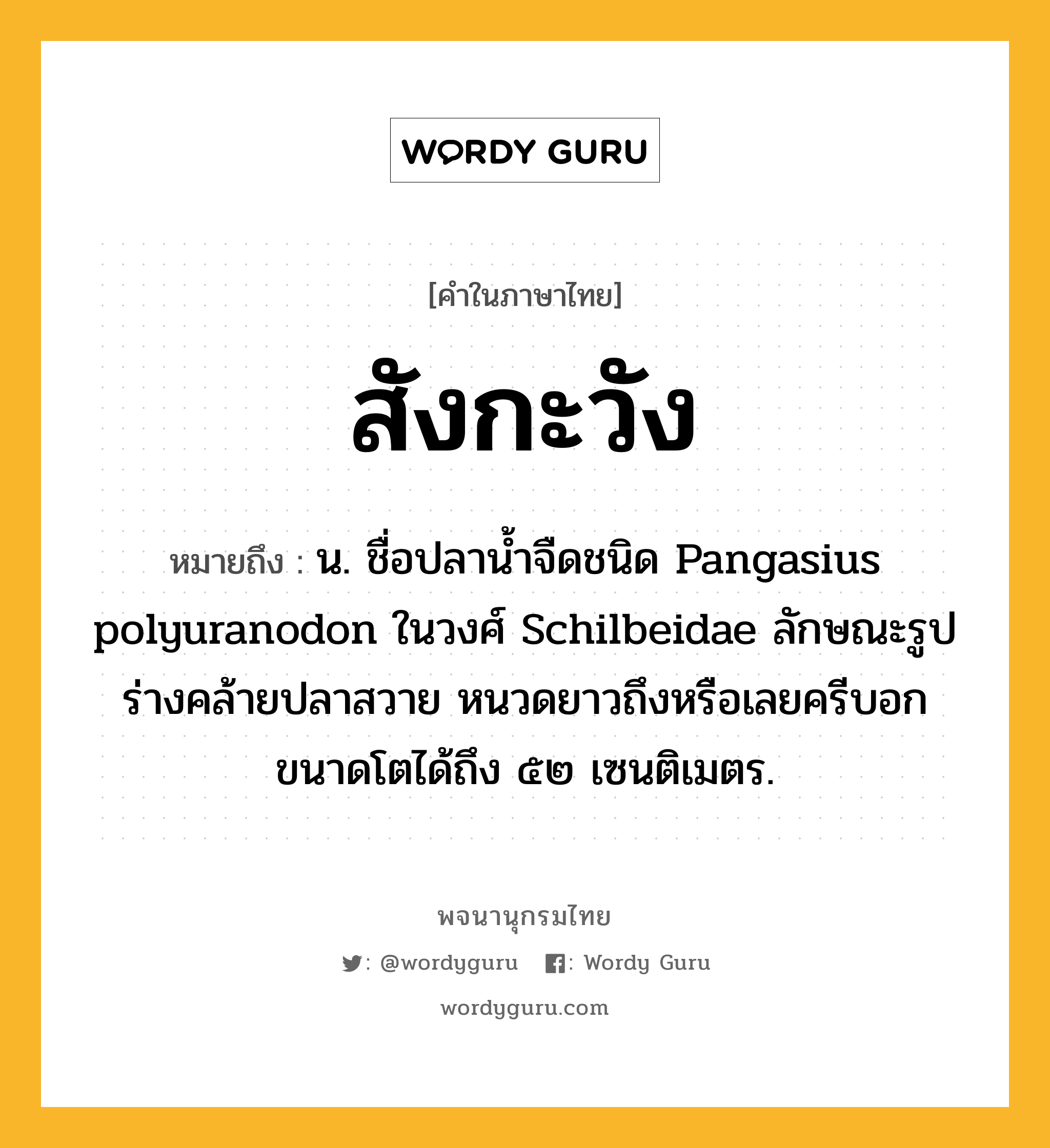 สังกะวัง ความหมาย หมายถึงอะไร?, คำในภาษาไทย สังกะวัง หมายถึง น. ชื่อปลานํ้าจืดชนิด Pangasius polyuranodon ในวงศ์ Schilbeidae ลักษณะรูปร่างคล้ายปลาสวาย หนวดยาวถึงหรือเลยครีบอก ขนาดโตได้ถึง ๕๒ เซนติเมตร.