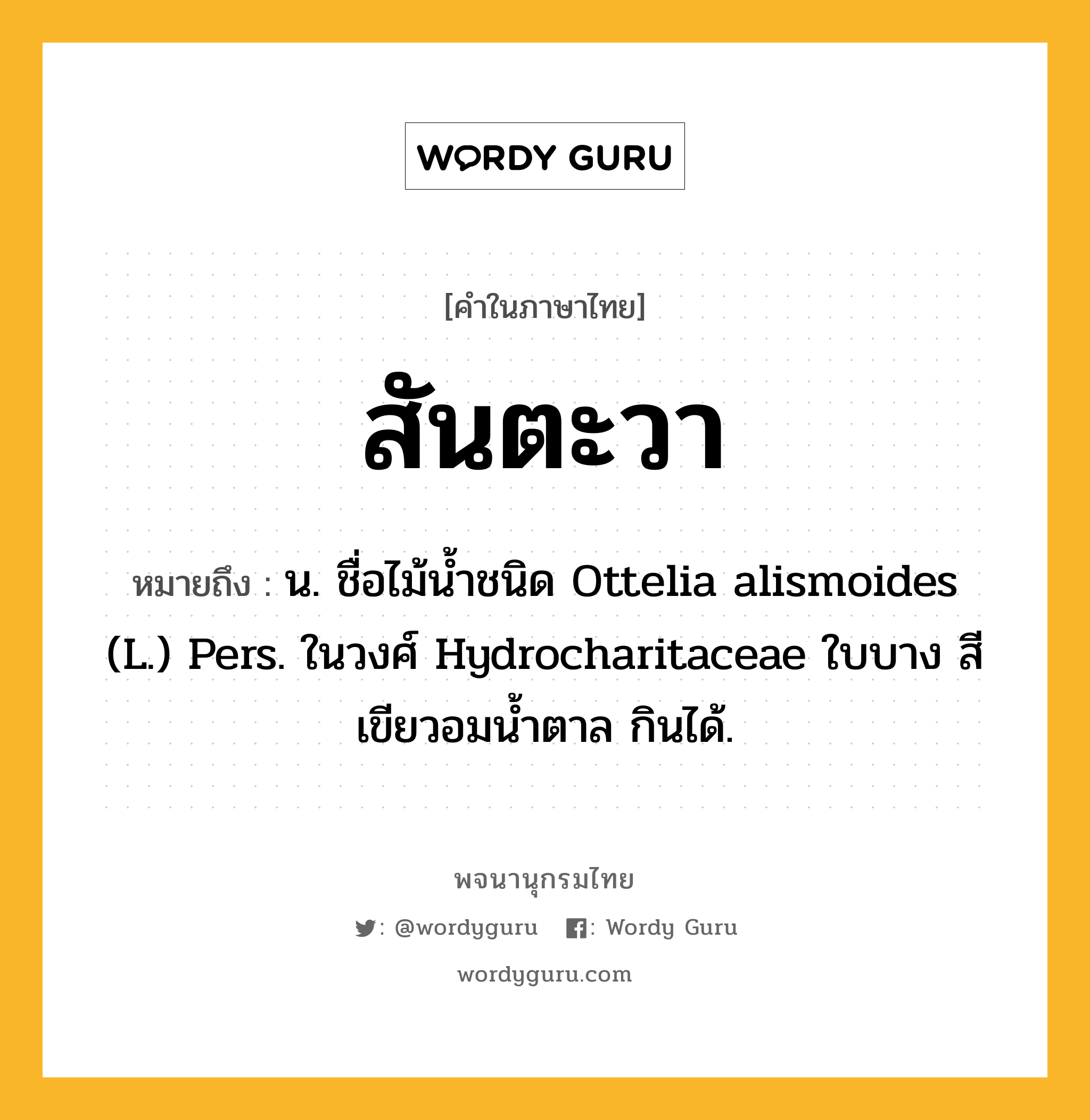 สันตะวา ความหมาย หมายถึงอะไร?, คำในภาษาไทย สันตะวา หมายถึง น. ชื่อไม้นํ้าชนิด Ottelia alismoides (L.) Pers. ในวงศ์ Hydrocharitaceae ใบบาง สีเขียวอมนํ้าตาล กินได้.