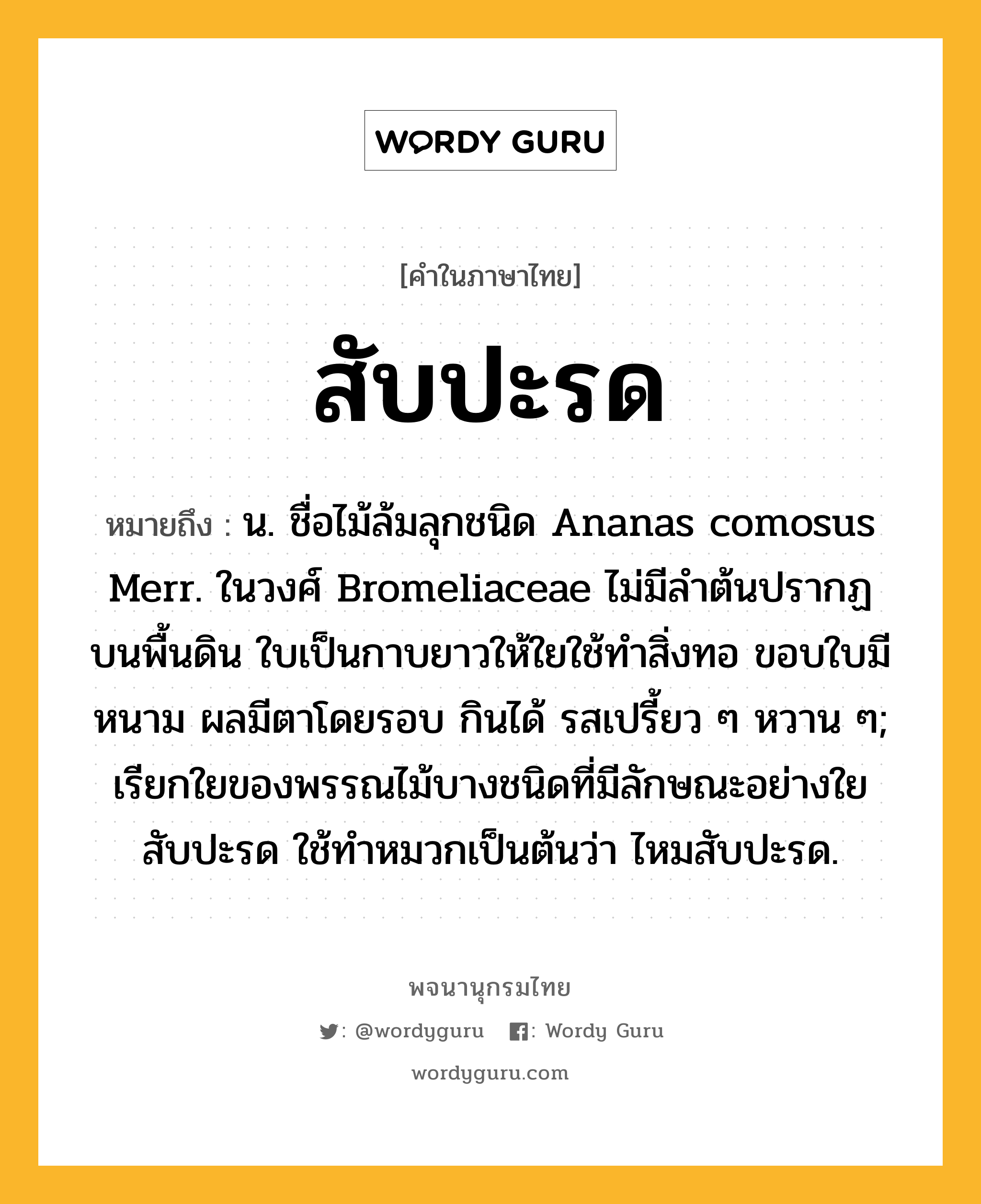 สับปะรด ความหมาย หมายถึงอะไร?, คำในภาษาไทย สับปะรด หมายถึง น. ชื่อไม้ล้มลุกชนิด Ananas comosus Merr. ในวงศ์ Bromeliaceae ไม่มีลําต้นปรากฏบนพื้นดิน ใบเป็นกาบยาวให้ใยใช้ทําสิ่งทอ ขอบใบมีหนาม ผลมีตาโดยรอบ กินได้ รสเปรี้ยว ๆ หวาน ๆ; เรียกใยของพรรณไม้บางชนิดที่มีลักษณะอย่างใยสับปะรด ใช้ทำหมวกเป็นต้นว่า ไหมสับปะรด.