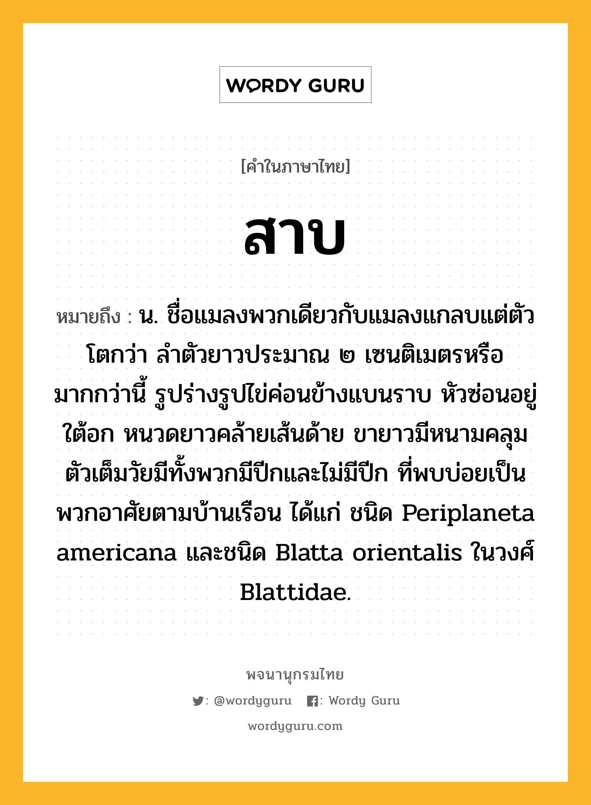 สาบ ความหมาย หมายถึงอะไร?, คำในภาษาไทย สาบ หมายถึง น. ชื่อแมลงพวกเดียวกับแมลงแกลบแต่ตัวโตกว่า ลําตัวยาวประมาณ ๒ เซนติเมตรหรือมากกว่านี้ รูปร่างรูปไข่ค่อนข้างแบนราบ หัวซ่อนอยู่ใต้อก หนวดยาวคล้ายเส้นด้าย ขายาวมีหนามคลุม ตัวเต็มวัยมีทั้งพวกมีปีกและไม่มีปีก ที่พบบ่อยเป็นพวกอาศัยตามบ้านเรือน ได้แก่ ชนิด Periplaneta americana และชนิด Blatta orientalis ในวงศ์ Blattidae.