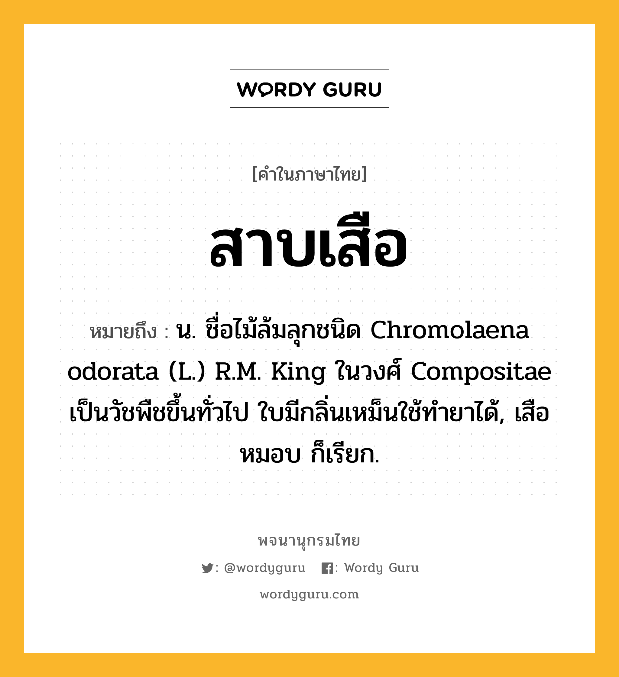 สาบเสือ ความหมาย หมายถึงอะไร?, คำในภาษาไทย สาบเสือ หมายถึง น. ชื่อไม้ล้มลุกชนิด Chromolaena odorata (L.) R.M. King ในวงศ์ Compositae เป็นวัชพืชขึ้นทั่วไป ใบมีกลิ่นเหม็นใช้ทํายาได้, เสือหมอบ ก็เรียก.