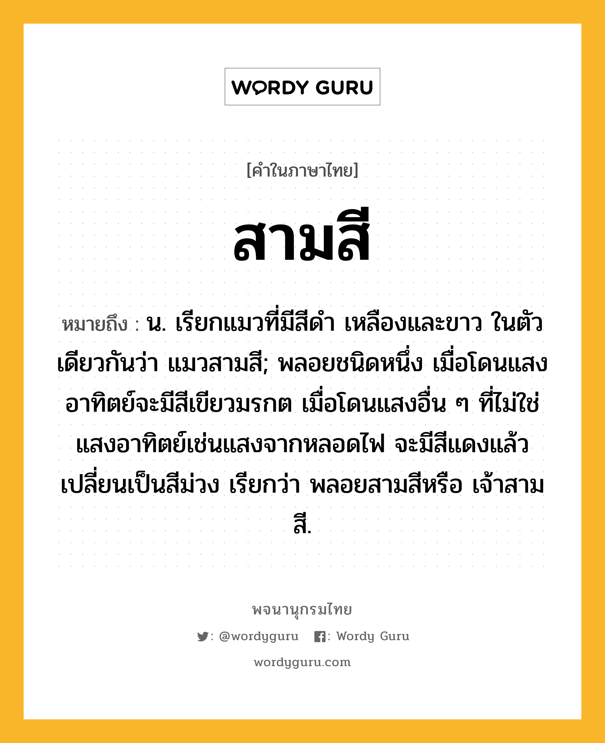 สามสี ความหมาย หมายถึงอะไร?, คำในภาษาไทย สามสี หมายถึง น. เรียกแมวที่มีสีดำ เหลืองและขาว ในตัวเดียวกันว่า แมวสามสี; พลอยชนิดหนึ่ง เมื่อโดนแสงอาทิตย์จะมีสีเขียวมรกต เมื่อโดนแสงอื่น ๆ ที่ไม่ใช่แสงอาทิตย์เช่นแสงจากหลอดไฟ จะมีสีแดงแล้วเปลี่ยนเป็นสีม่วง เรียกว่า พลอยสามสีหรือ เจ้าสามสี.