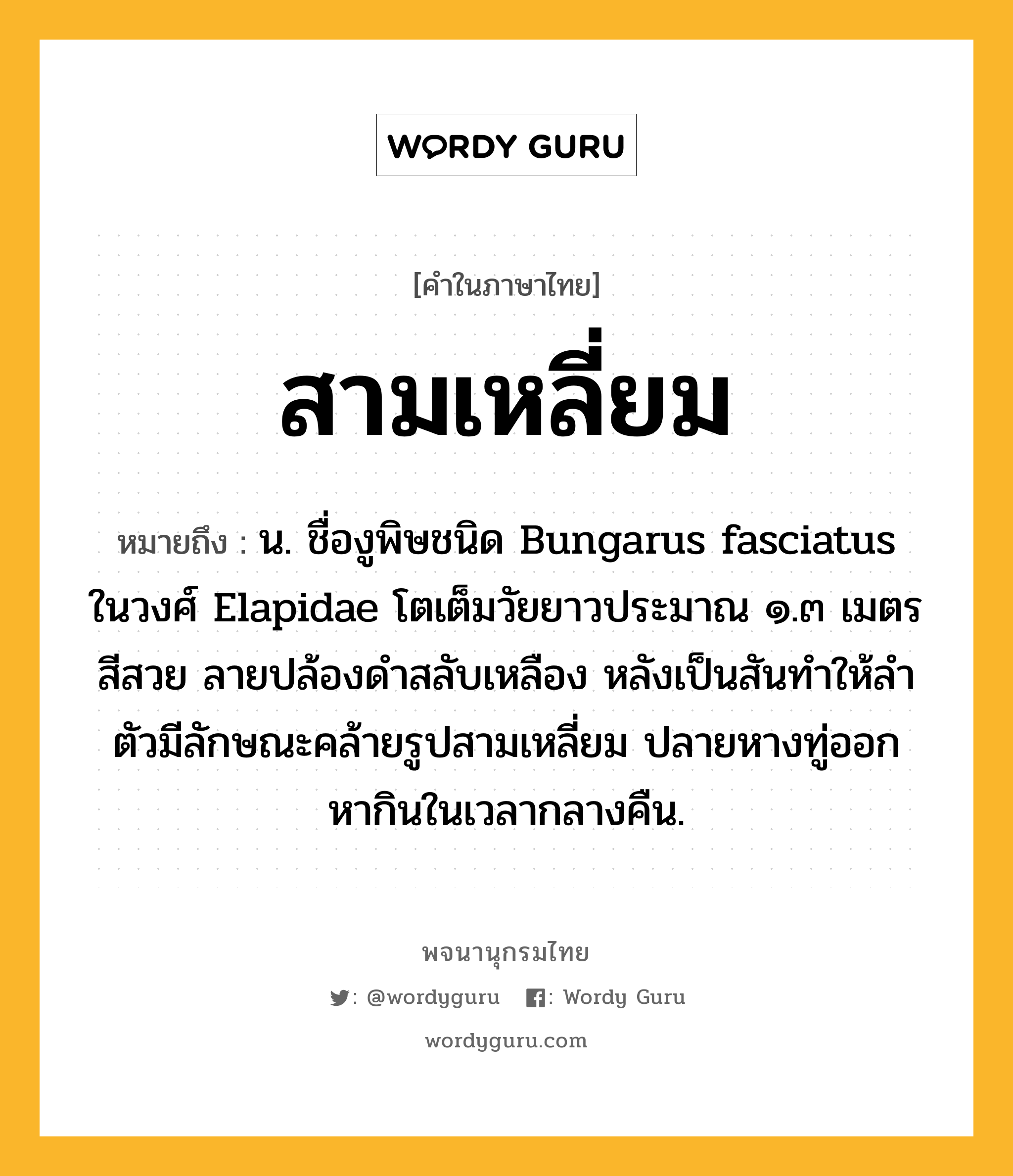 สามเหลี่ยม ความหมาย หมายถึงอะไร?, คำในภาษาไทย สามเหลี่ยม หมายถึง น. ชื่องูพิษชนิด Bungarus fasciatus ในวงศ์ Elapidae โตเต็มวัยยาวประมาณ ๑.๓ เมตร สีสวย ลายปล้องดําสลับเหลือง หลังเป็นสันทําให้ลําตัวมีลักษณะคล้ายรูปสามเหลี่ยม ปลายหางทู่ออกหากินในเวลากลางคืน.