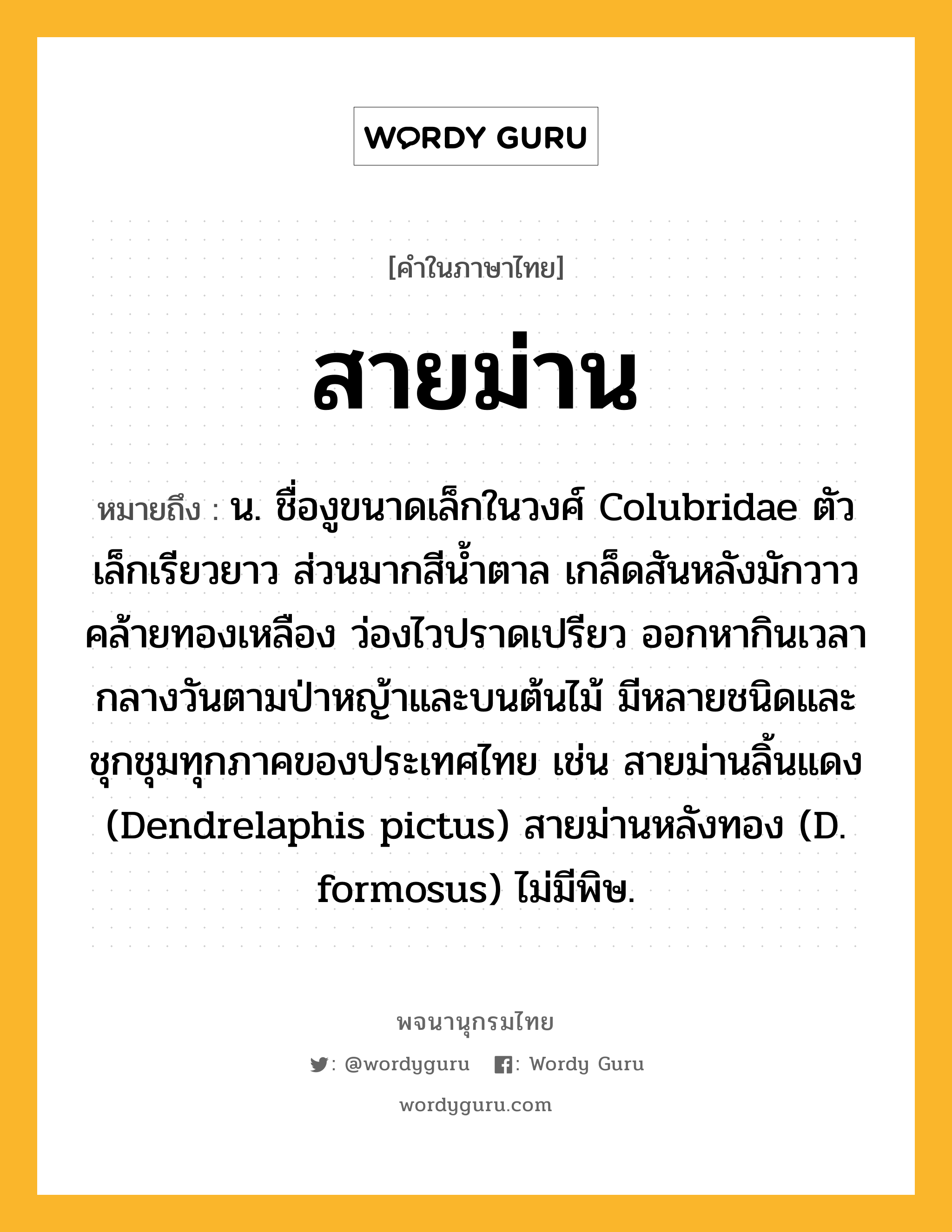 สายม่าน ความหมาย หมายถึงอะไร?, คำในภาษาไทย สายม่าน หมายถึง น. ชื่องูขนาดเล็กในวงศ์ Colubridae ตัวเล็กเรียวยาว ส่วนมากสีนํ้าตาล เกล็ดสันหลังมักวาวคล้ายทองเหลือง ว่องไวปราดเปรียว ออกหากินเวลากลางวันตามป่าหญ้าและบนต้นไม้ มีหลายชนิดและชุกชุมทุกภาคของประเทศไทย เช่น สายม่านลิ้นแดง (Dendrelaphis pictus) สายม่านหลังทอง (D. formosus) ไม่มีพิษ.