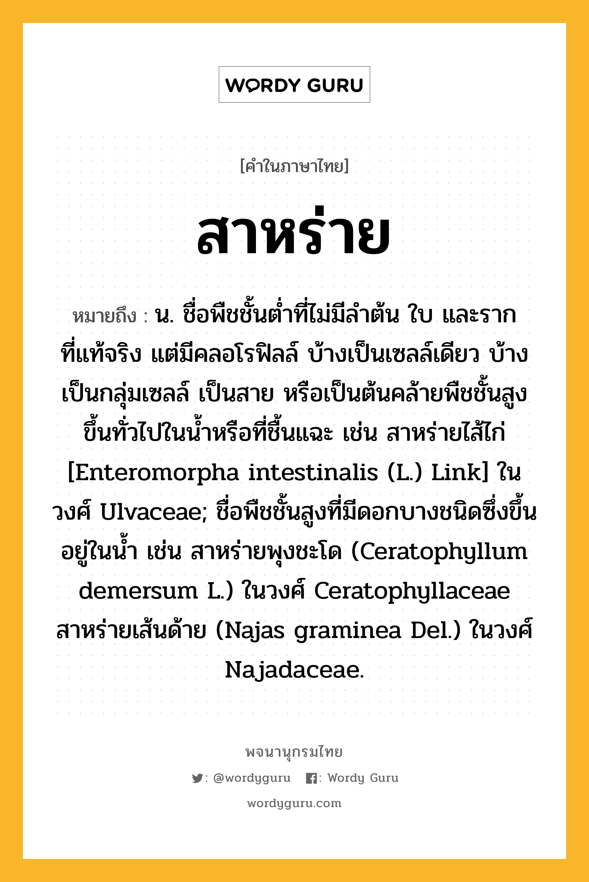 สาหร่าย ความหมาย หมายถึงอะไร?, คำในภาษาไทย สาหร่าย หมายถึง น. ชื่อพืชชั้นตํ่าที่ไม่มีลําต้น ใบ และรากที่แท้จริง แต่มีคลอโรฟิลล์ บ้างเป็นเซลล์เดียว บ้างเป็นกลุ่มเซลล์ เป็นสาย หรือเป็นต้นคล้ายพืชชั้นสูง ขึ้นทั่วไปในนํ้าหรือที่ชื้นแฉะ เช่น สาหร่ายไส้ไก่ [Enteromorpha intestinalis (L.) Link] ในวงศ์ Ulvaceae; ชื่อพืชชั้นสูงที่มีดอกบางชนิดซึ่งขึ้นอยู่ในนํ้า เช่น สาหร่ายพุงชะโด (Ceratophyllum demersum L.) ในวงศ์ Ceratophyllaceae สาหร่ายเส้นด้าย (Najas graminea Del.) ในวงศ์ Najadaceae.