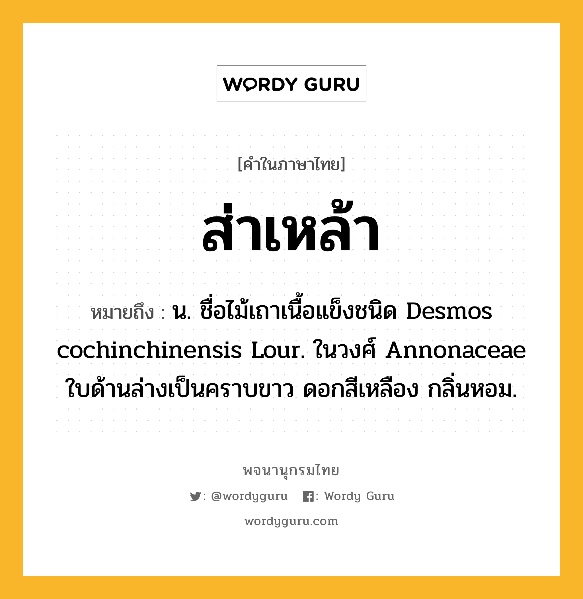 ส่าเหล้า ความหมาย หมายถึงอะไร?, คำในภาษาไทย ส่าเหล้า หมายถึง น. ชื่อไม้เถาเนื้อแข็งชนิด Desmos cochinchinensis Lour. ในวงศ์ Annonaceae ใบด้านล่างเป็นคราบขาว ดอกสีเหลือง กลิ่นหอม.