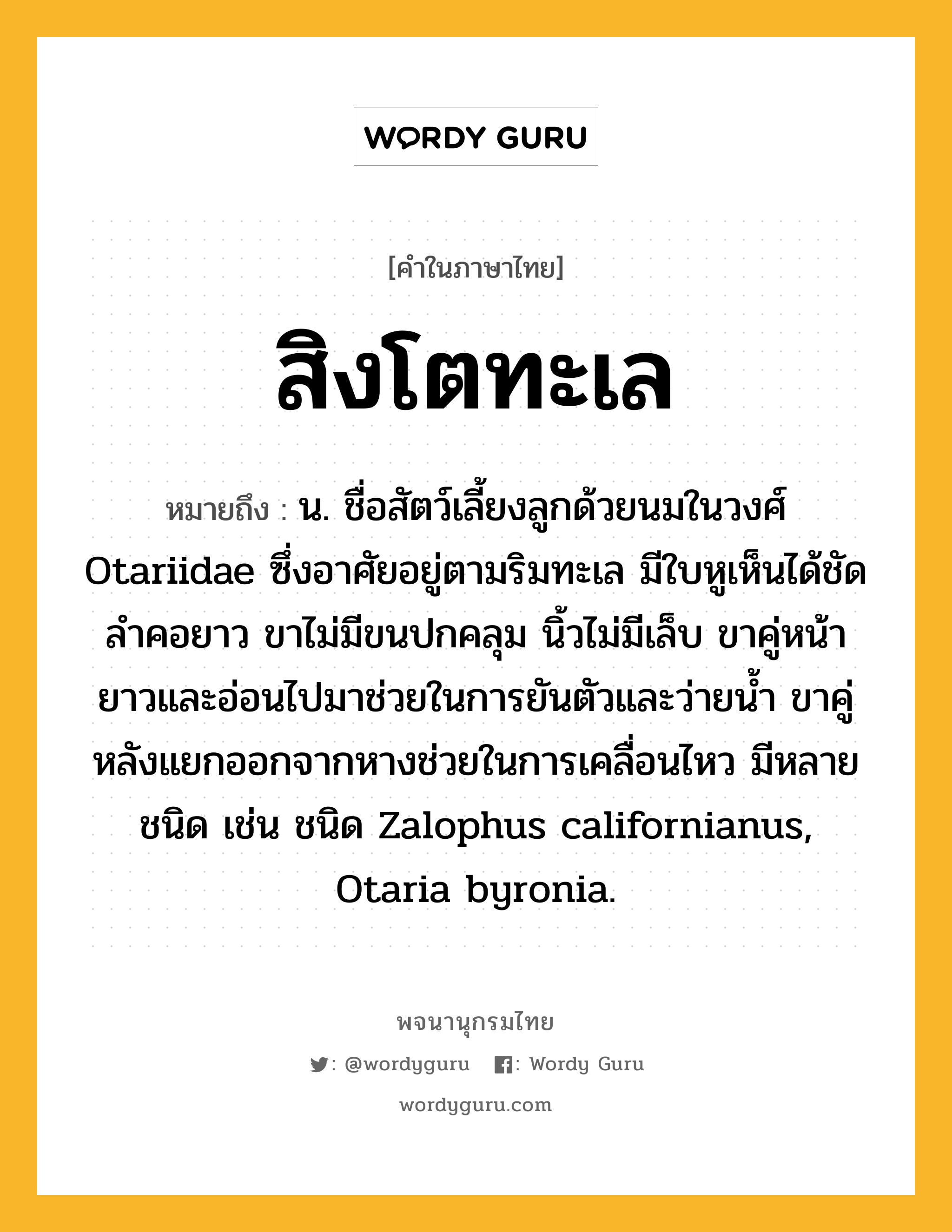 สิงโตทะเล ความหมาย หมายถึงอะไร?, คำในภาษาไทย สิงโตทะเล หมายถึง น. ชื่อสัตว์เลี้ยงลูกด้วยนมในวงศ์ Otariidae ซึ่งอาศัยอยู่ตามริมทะเล มีใบหูเห็นได้ชัด ลําคอยาว ขาไม่มีขนปกคลุม นิ้วไม่มีเล็บ ขาคู่หน้ายาวและอ่อนไปมาช่วยในการยันตัวและว่ายนํ้า ขาคู่หลังแยกออกจากหางช่วยในการเคลื่อนไหว มีหลายชนิด เช่น ชนิด Zalophus californianus, Otaria byronia.