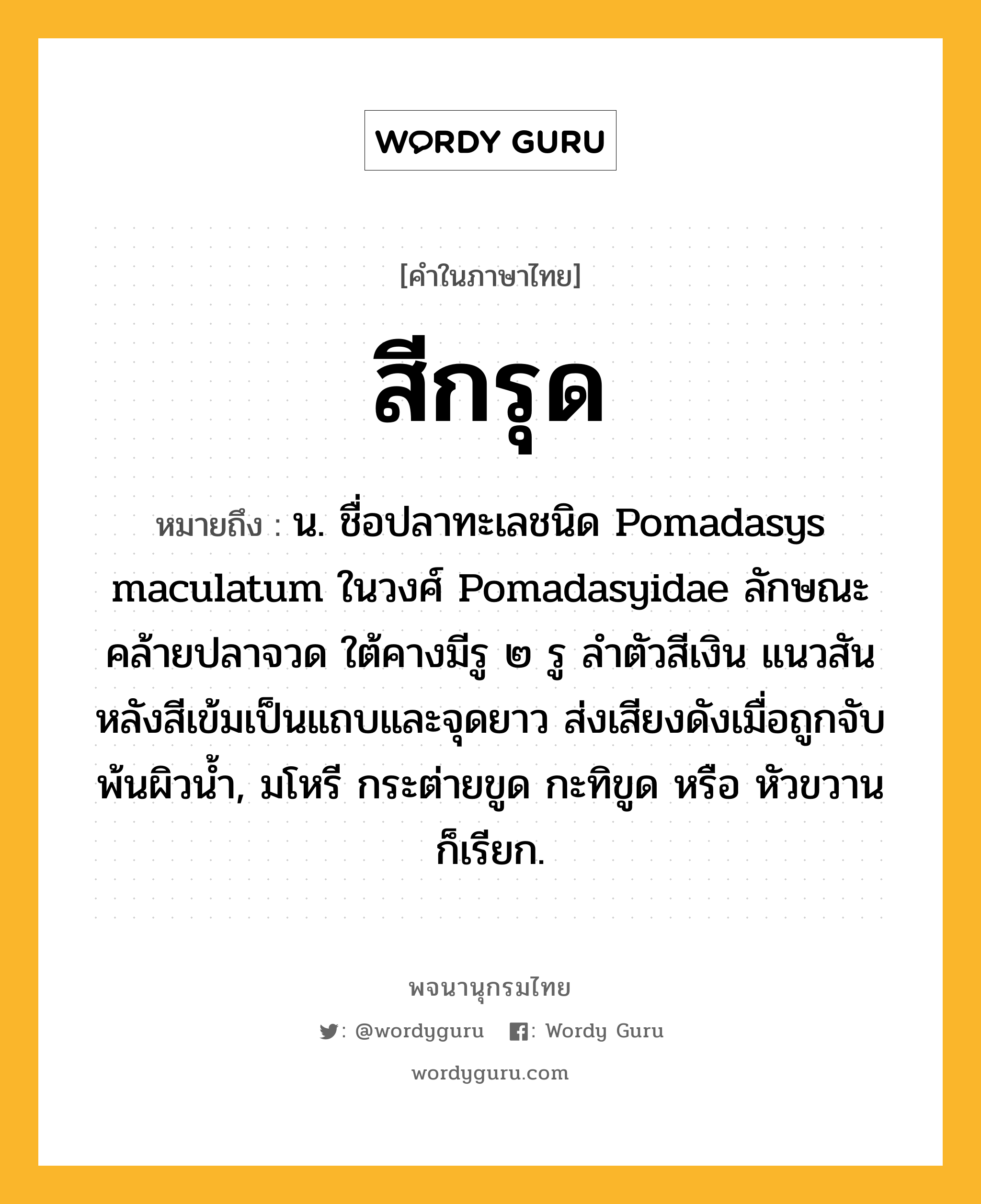 สีกรุด ความหมาย หมายถึงอะไร?, คำในภาษาไทย สีกรุด หมายถึง น. ชื่อปลาทะเลชนิด Pomadasys maculatum ในวงศ์ Pomadasyidae ลักษณะคล้ายปลาจวด ใต้คางมีรู ๒ รู ลําตัวสีเงิน แนวสันหลังสีเข้มเป็นแถบและจุดยาว ส่งเสียงดังเมื่อถูกจับพ้นผิวนํ้า, มโหรี กระต่ายขูด กะทิขูด หรือ หัวขวาน ก็เรียก.