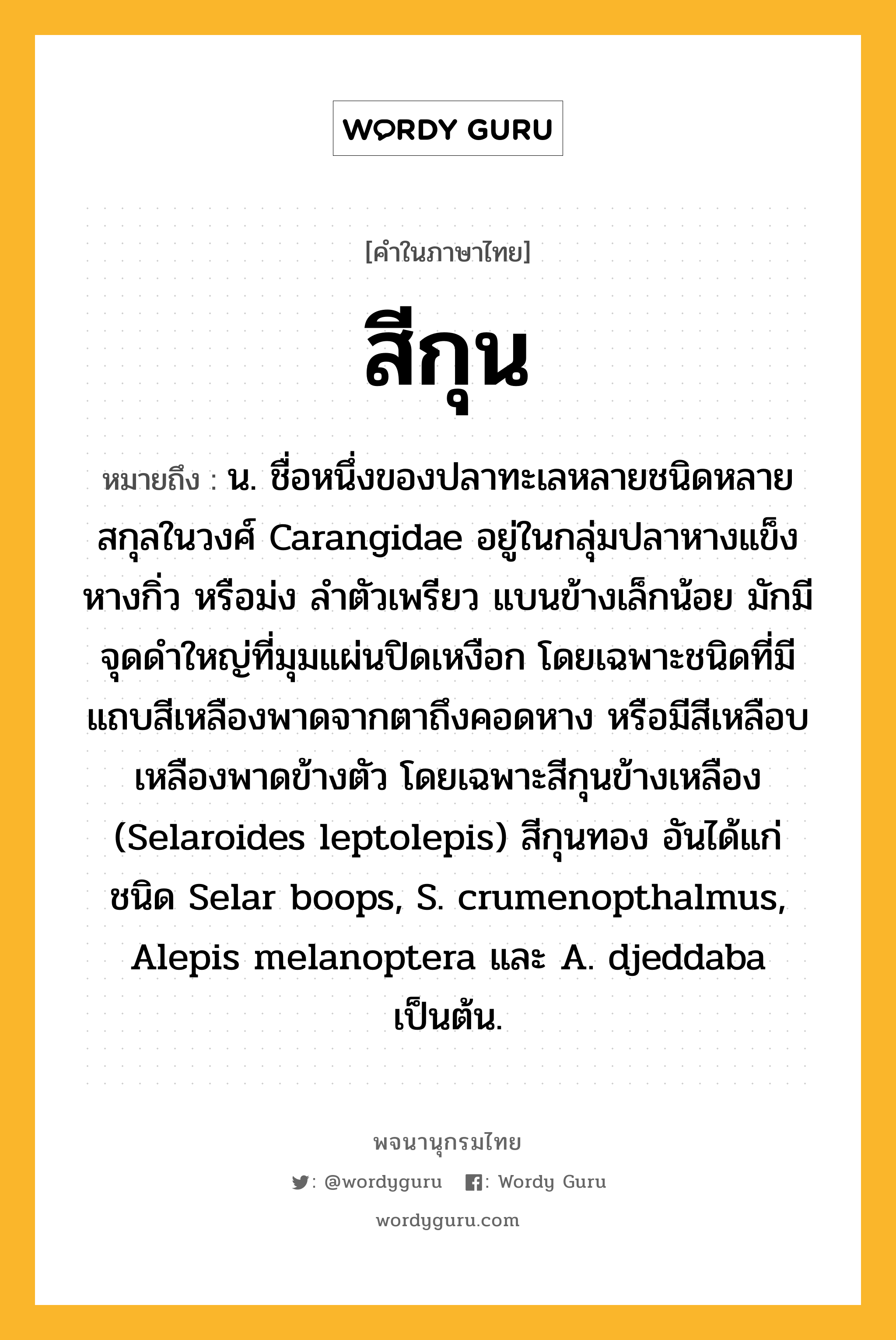 สีกุน ความหมาย หมายถึงอะไร?, คำในภาษาไทย สีกุน หมายถึง น. ชื่อหนึ่งของปลาทะเลหลายชนิดหลายสกุลในวงศ์ Carangidae อยู่ในกลุ่มปลาหางแข็ง หางกิ่ว หรือม่ง ลําตัวเพรียว แบนข้างเล็กน้อย มักมีจุดดําใหญ่ที่มุมแผ่นปิดเหงือก โดยเฉพาะชนิดที่มีแถบสีเหลืองพาดจากตาถึงคอดหาง หรือมีสีเหลือบเหลืองพาดข้างตัว โดยเฉพาะสีกุนข้างเหลือง (Selaroides leptolepis) สีกุนทอง อันได้แก่ ชนิด Selar boops, S. crumenopthalmus, Alepis melanoptera และ A. djeddaba เป็นต้น.