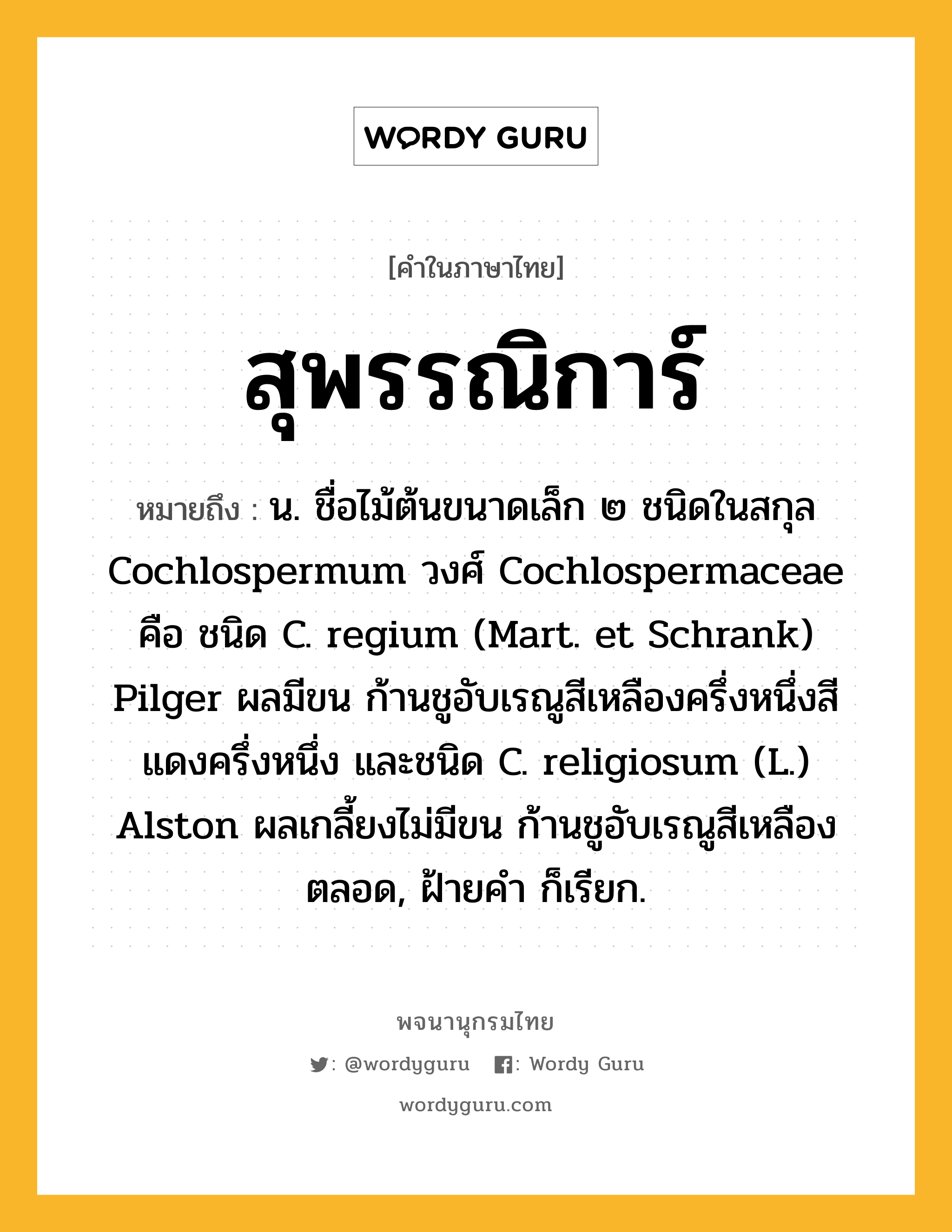 สุพรรณิการ์ ความหมาย หมายถึงอะไร?, คำในภาษาไทย สุพรรณิการ์ หมายถึง น. ชื่อไม้ต้นขนาดเล็ก ๒ ชนิดในสกุล Cochlospermum วงศ์ Cochlospermaceae คือ ชนิด C. regium (Mart. et Schrank) Pilger ผลมีขน ก้านชูอับเรณูสีเหลืองครึ่งหนึ่งสีแดงครึ่งหนึ่ง และชนิด C. religiosum (L.) Alston ผลเกลี้ยงไม่มีขน ก้านชูอับเรณูสีเหลืองตลอด, ฝ้ายคํา ก็เรียก.