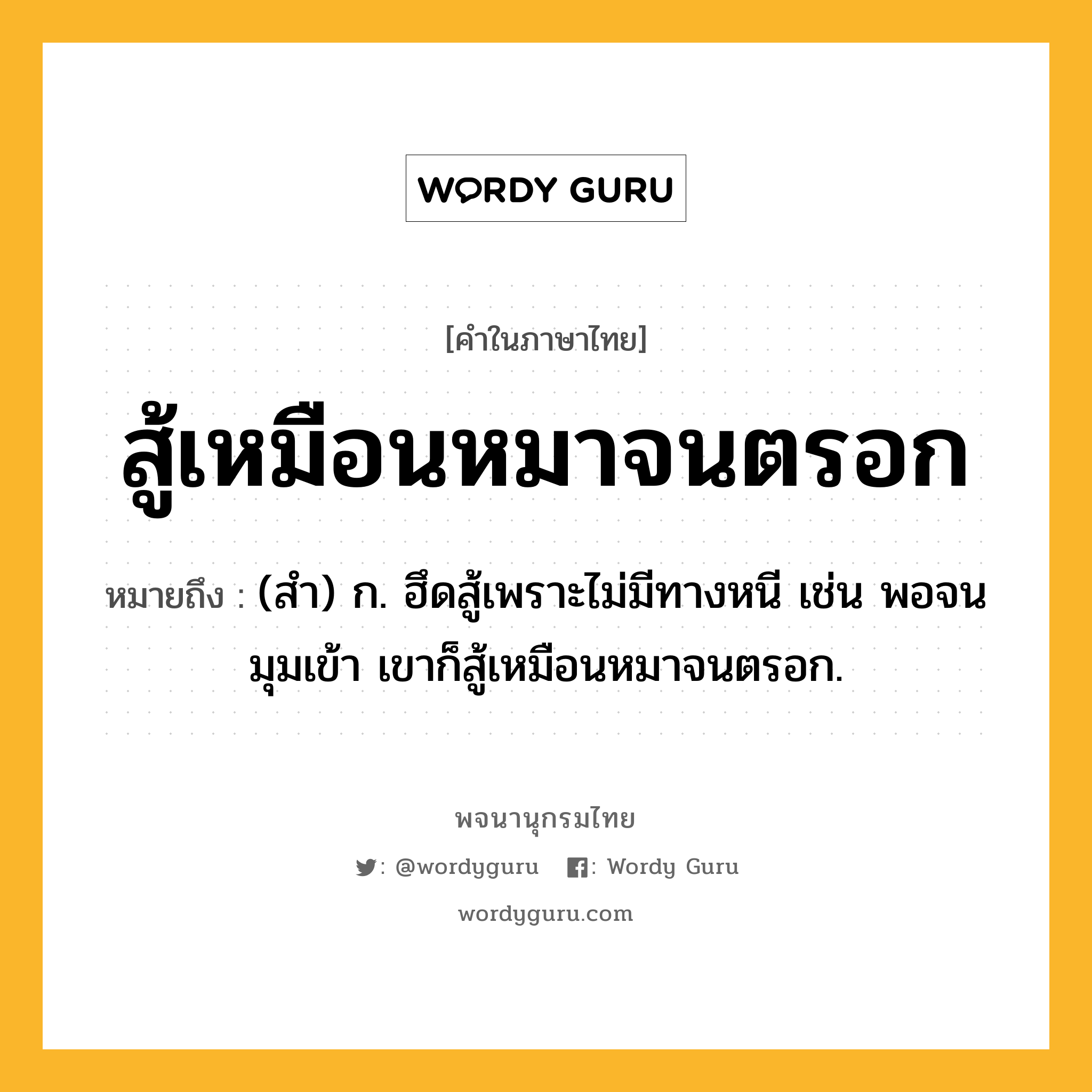 สู้เหมือนหมาจนตรอก ความหมาย หมายถึงอะไร?, คำในภาษาไทย สู้เหมือนหมาจนตรอก หมายถึง (สํา) ก. ฮึดสู้เพราะไม่มีทางหนี เช่น พอจนมุมเข้า เขาก็สู้เหมือนหมาจนตรอก.