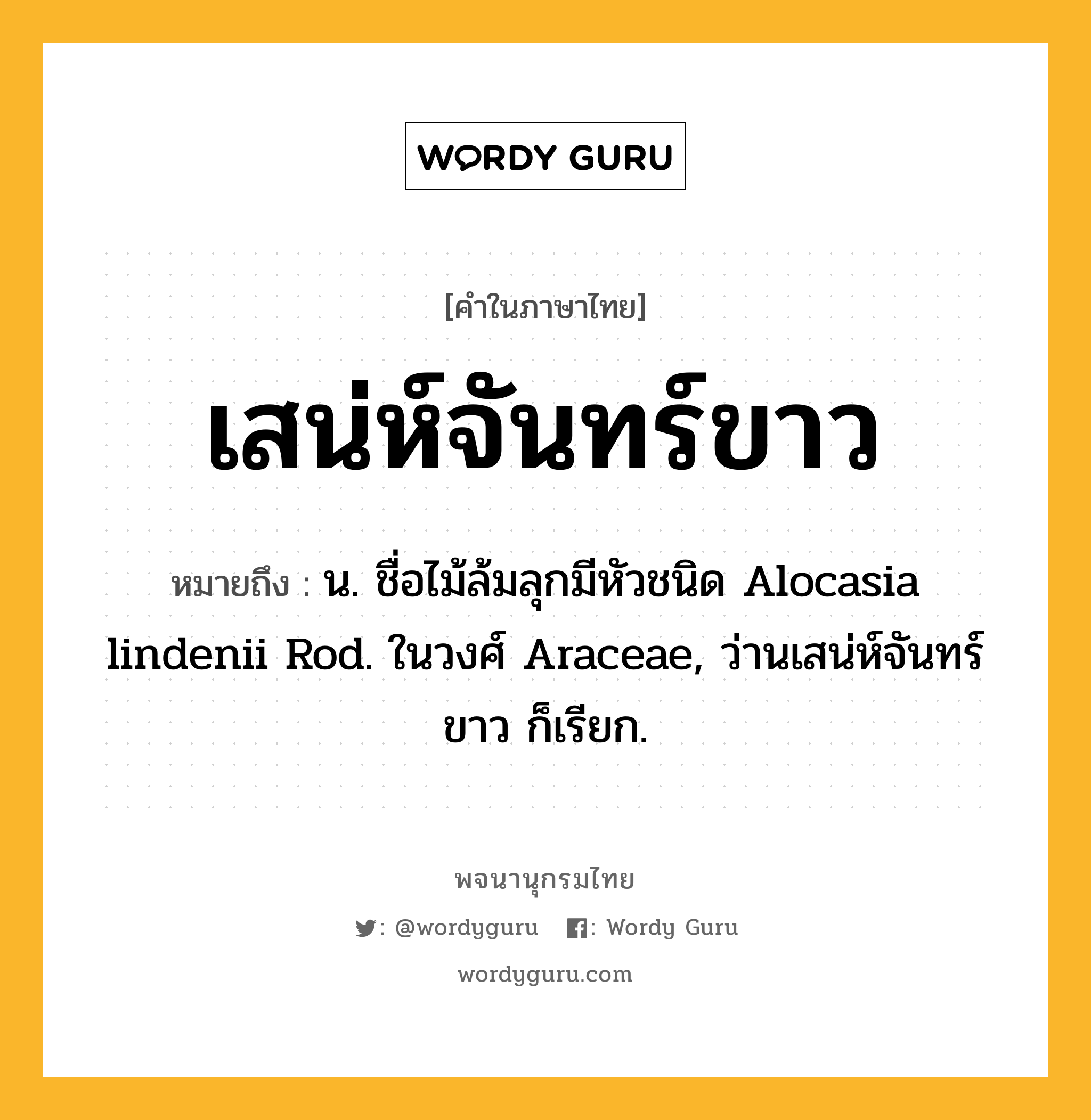 เสน่ห์จันทร์ขาว ความหมาย หมายถึงอะไร?, คำในภาษาไทย เสน่ห์จันทร์ขาว หมายถึง น. ชื่อไม้ล้มลุกมีหัวชนิด Alocasia lindenii Rod. ในวงศ์ Araceae, ว่านเสน่ห์จันทร์ขาว ก็เรียก.