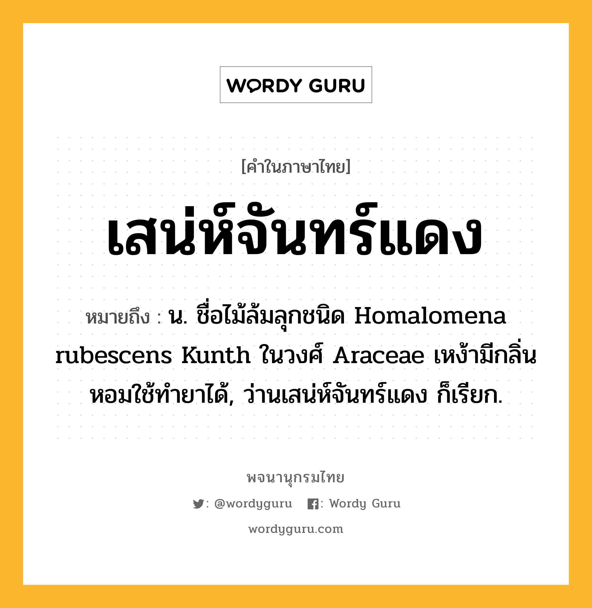 เสน่ห์จันทร์แดง ความหมาย หมายถึงอะไร?, คำในภาษาไทย เสน่ห์จันทร์แดง หมายถึง น. ชื่อไม้ล้มลุกชนิด Homalomena rubescens Kunth ในวงศ์ Araceae เหง้ามีกลิ่นหอมใช้ทํายาได้, ว่านเสน่ห์จันทร์แดง ก็เรียก.