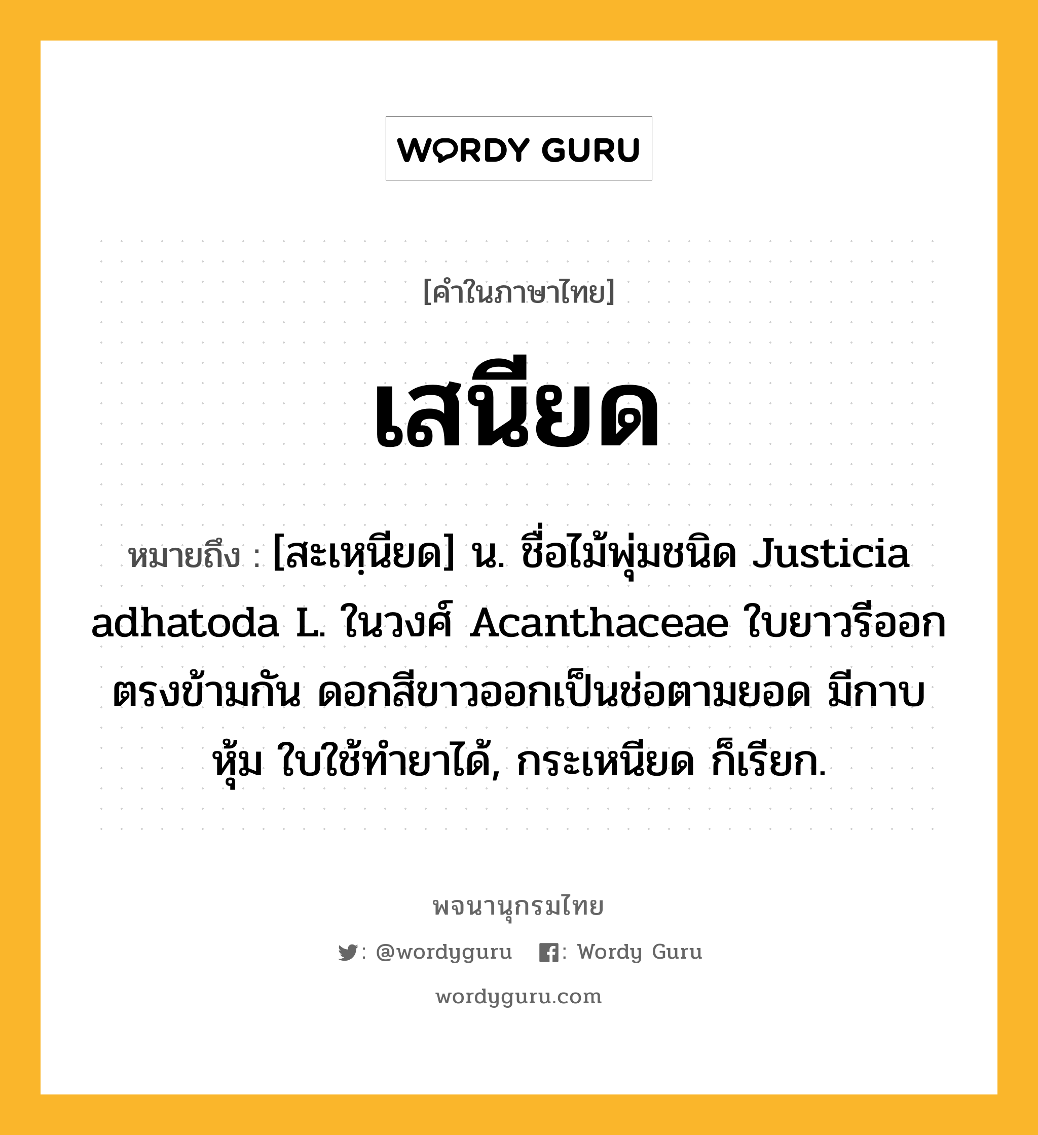 เสนียด ความหมาย หมายถึงอะไร?, คำในภาษาไทย เสนียด หมายถึง [สะเหฺนียด] น. ชื่อไม้พุ่มชนิด Justicia adhatoda L. ในวงศ์ Acanthaceae ใบยาวรีออกตรงข้ามกัน ดอกสีขาวออกเป็นช่อตามยอด มีกาบหุ้ม ใบใช้ทํายาได้, กระเหนียด ก็เรียก.