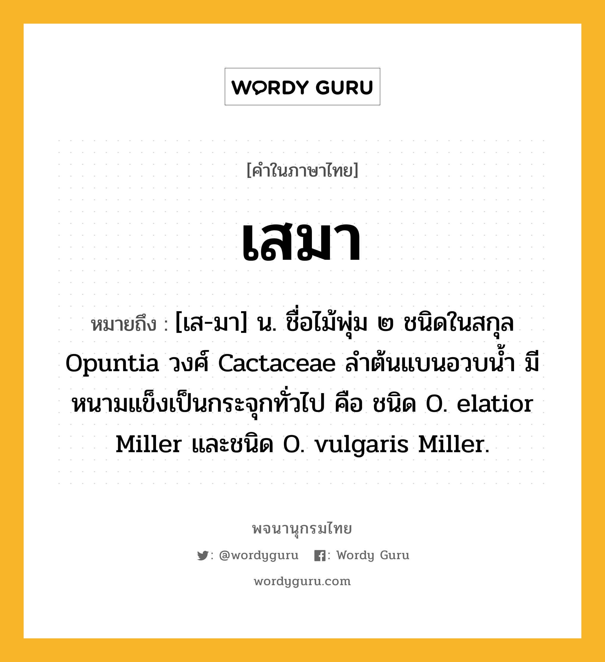 เสมา ความหมาย หมายถึงอะไร?, คำในภาษาไทย เสมา หมายถึง [เส-มา] น. ชื่อไม้พุ่ม ๒ ชนิดในสกุล Opuntia วงศ์ Cactaceae ลําต้นแบนอวบนํ้า มีหนามแข็งเป็นกระจุกทั่วไป คือ ชนิด O. elatior Miller และชนิด O. vulgaris Miller.