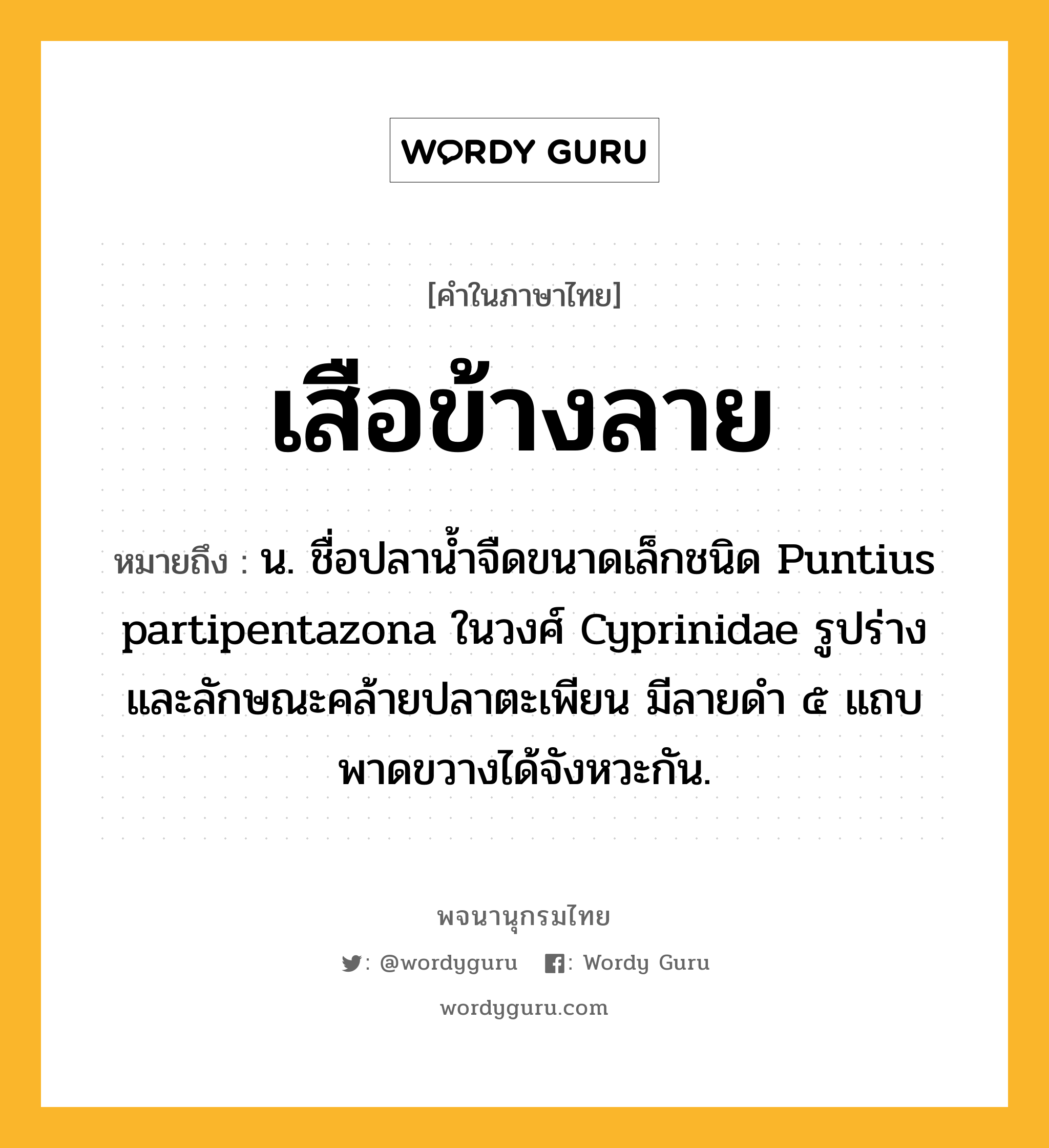 เสือข้างลาย ความหมาย หมายถึงอะไร?, คำในภาษาไทย เสือข้างลาย หมายถึง น. ชื่อปลาน้ำจืดขนาดเล็กชนิด Puntius partipentazona ในวงศ์ Cyprinidae รูปร่างและลักษณะคล้ายปลาตะเพียน มีลายดำ ๕ แถบ พาดขวางได้จังหวะกัน.