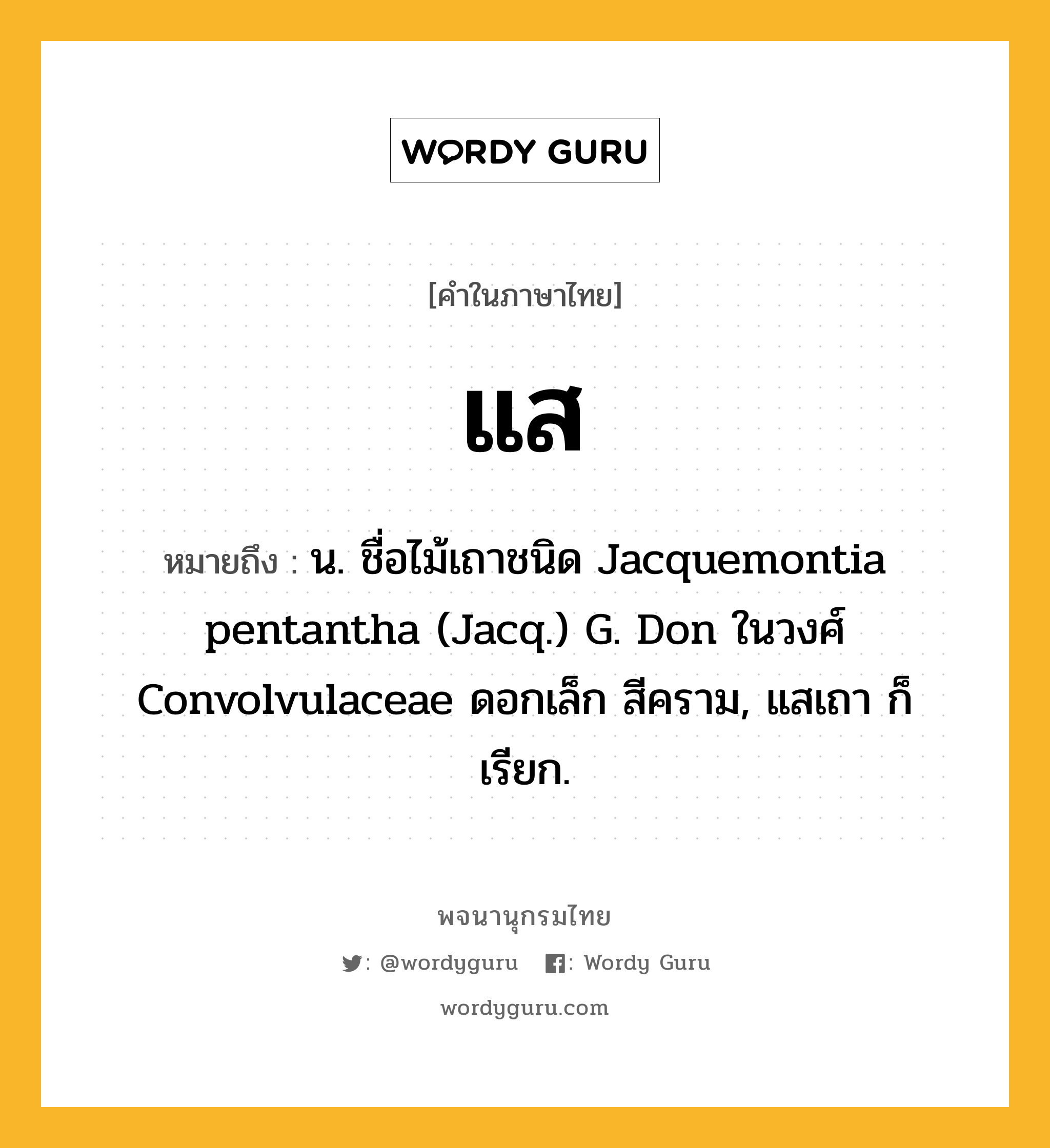 แส ความหมาย หมายถึงอะไร?, คำในภาษาไทย แส หมายถึง น. ชื่อไม้เถาชนิด Jacquemontia pentantha (Jacq.) G. Don ในวงศ์ Convolvulaceae ดอกเล็ก สีคราม, แสเถา ก็เรียก.