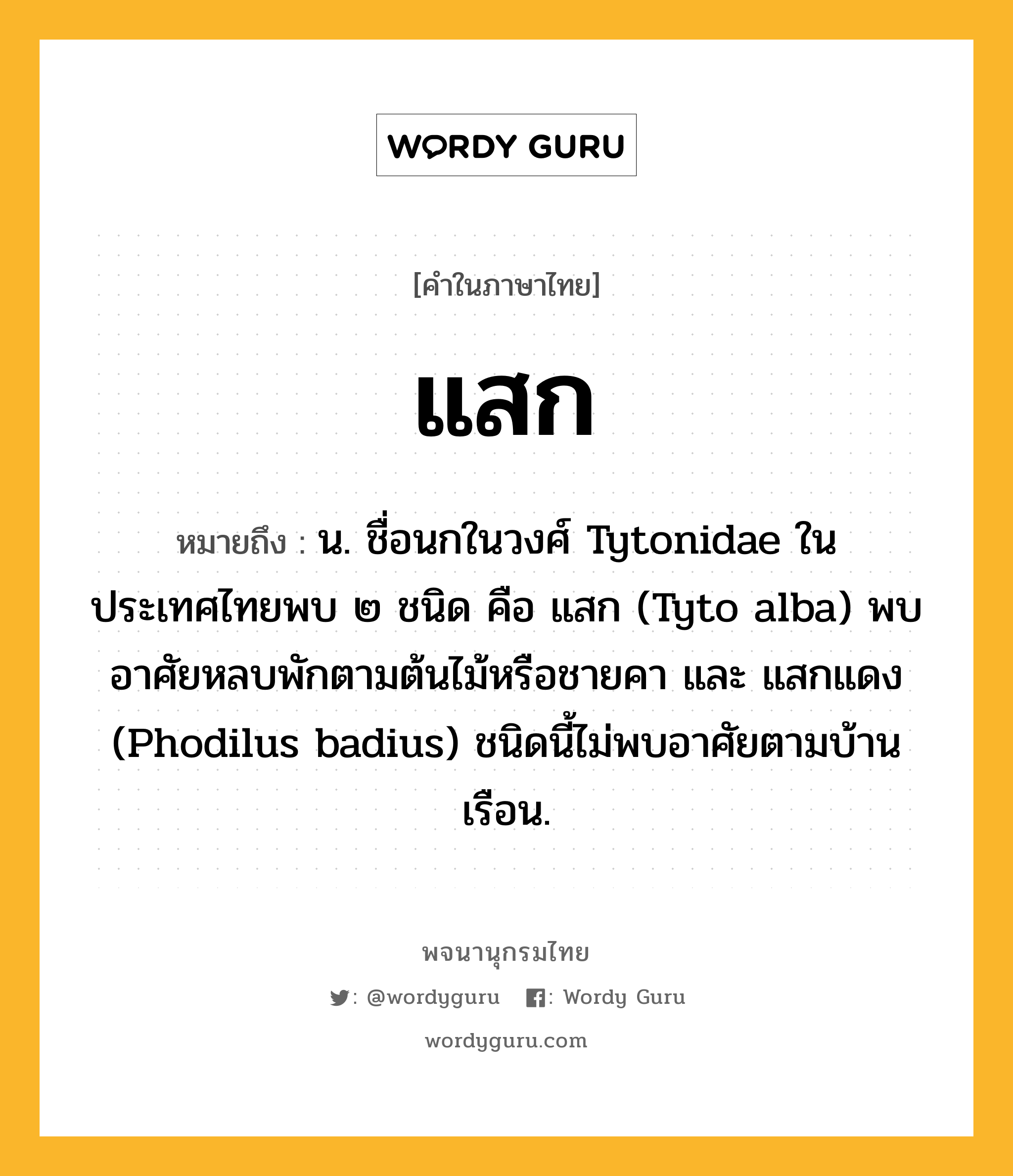 แสก ความหมาย หมายถึงอะไร?, คำในภาษาไทย แสก หมายถึง น. ชื่อนกในวงศ์ Tytonidae ในประเทศไทยพบ ๒ ชนิด คือ แสก (Tyto alba) พบอาศัยหลบพักตามต้นไม้หรือชายคา และ แสกแดง (Phodilus badius) ชนิดนี้ไม่พบอาศัยตามบ้านเรือน.