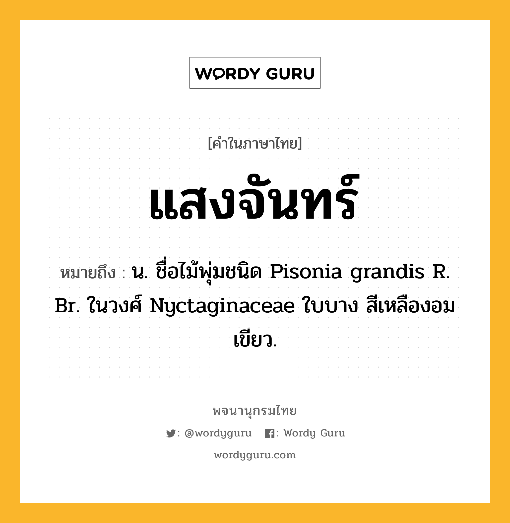 แสงจันทร์ ความหมาย หมายถึงอะไร?, คำในภาษาไทย แสงจันทร์ หมายถึง น. ชื่อไม้พุ่มชนิด Pisonia grandis R. Br. ในวงศ์ Nyctaginaceae ใบบาง สีเหลืองอมเขียว.