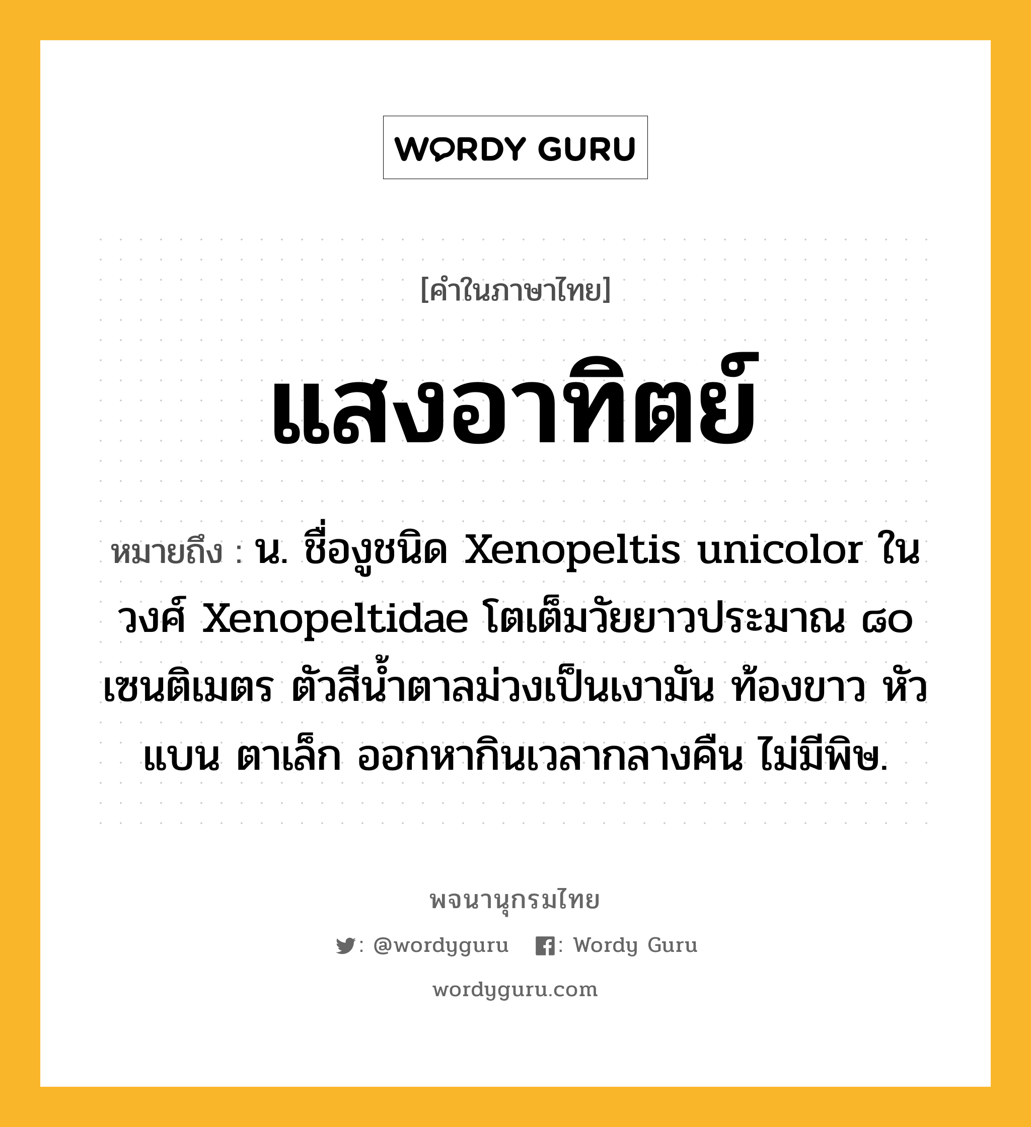 แสงอาทิตย์ ความหมาย หมายถึงอะไร?, คำในภาษาไทย แสงอาทิตย์ หมายถึง น. ชื่องูชนิด Xenopeltis unicolor ในวงศ์ Xenopeltidae โตเต็มวัยยาวประมาณ ๘๐ เซนติเมตร ตัวสีนํ้าตาลม่วงเป็นเงามัน ท้องขาว หัวแบน ตาเล็ก ออกหากินเวลากลางคืน ไม่มีพิษ.