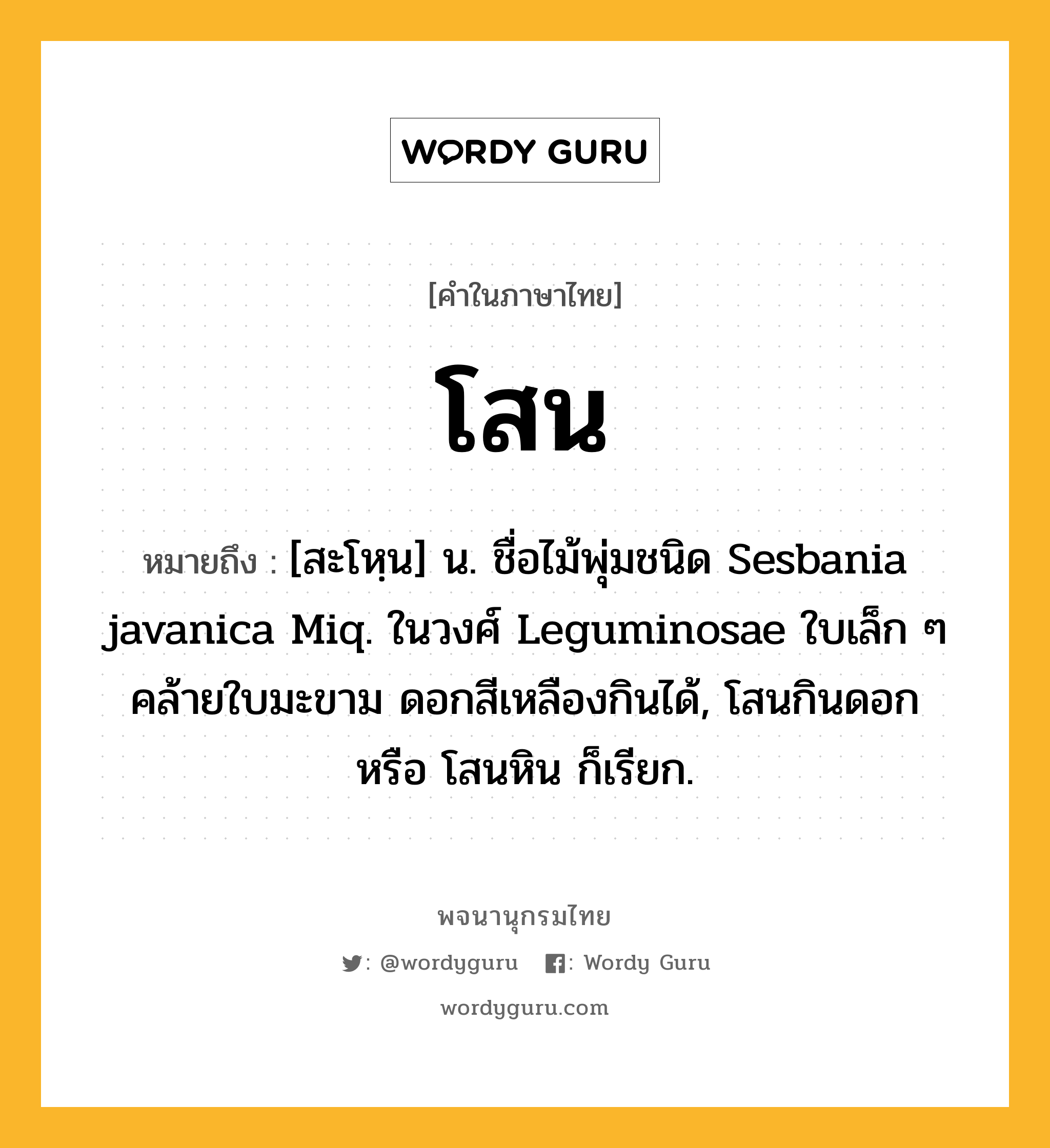 โสน ความหมาย หมายถึงอะไร?, คำในภาษาไทย โสน หมายถึง [สะโหฺน] น. ชื่อไม้พุ่มชนิด Sesbania javanica Miq. ในวงศ์ Leguminosae ใบเล็ก ๆ คล้ายใบมะขาม ดอกสีเหลืองกินได้, โสนกินดอก หรือ โสนหิน ก็เรียก.