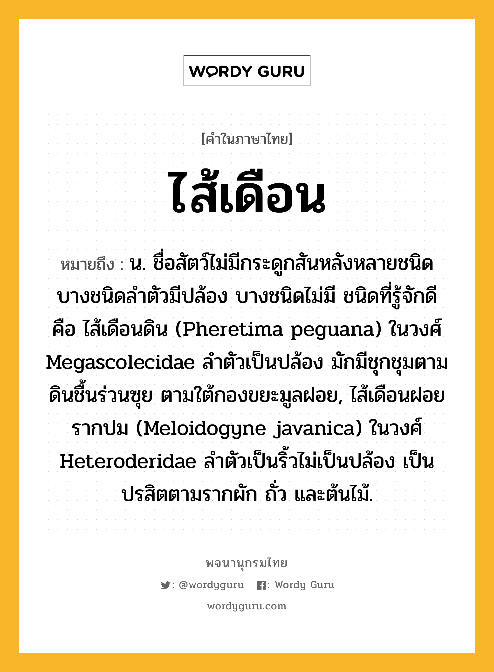 ไส้เดือน ความหมาย หมายถึงอะไร?, คำในภาษาไทย ไส้เดือน หมายถึง น. ชื่อสัตว์ไม่มีกระดูกสันหลังหลายชนิด บางชนิดลําตัวมีปล้อง บางชนิดไม่มี ชนิดที่รู้จักดี คือ ไส้เดือนดิน (Pheretima peguana) ในวงศ์ Megascolecidae ลําตัวเป็นปล้อง มักมีชุกชุมตามดินชื้นร่วนซุย ตามใต้กองขยะมูลฝอย, ไส้เดือนฝอยรากปม (Meloidogyne javanica) ในวงศ์ Heteroderidae ลําตัวเป็นริ้วไม่เป็นปล้อง เป็นปรสิตตามรากผัก ถั่ว และต้นไม้.