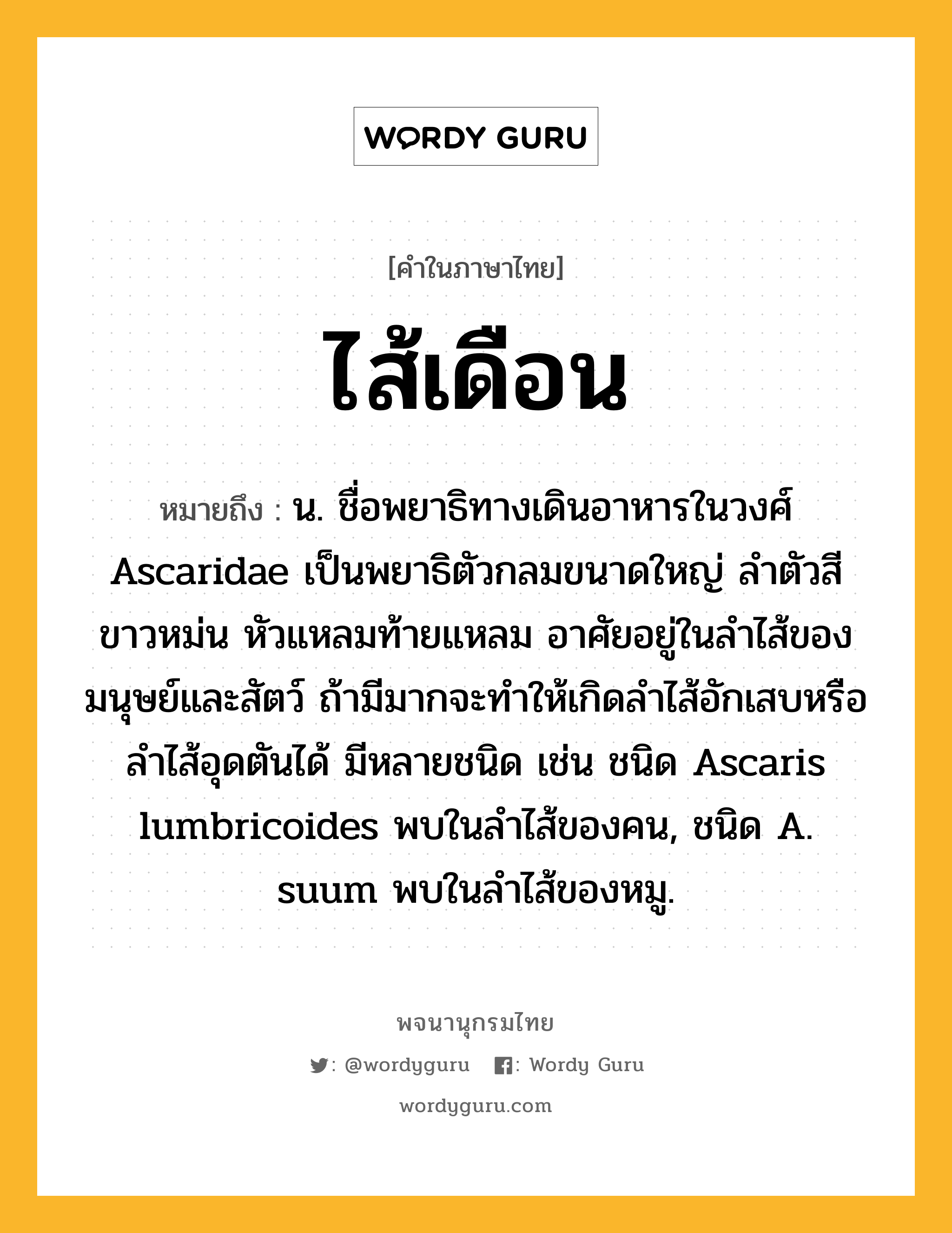 ไส้เดือน ความหมาย หมายถึงอะไร?, คำในภาษาไทย ไส้เดือน หมายถึง น. ชื่อพยาธิทางเดินอาหารในวงศ์ Ascaridae เป็นพยาธิตัวกลมขนาดใหญ่ ลําตัวสีขาวหม่น หัวแหลมท้ายแหลม อาศัยอยู่ในลําไส้ของมนุษย์และสัตว์ ถ้ามีมากจะทําให้เกิดลําไส้อักเสบหรือลําไส้อุดตันได้ มีหลายชนิด เช่น ชนิด Ascaris lumbricoides พบในลําไส้ของคน, ชนิด A. suum พบในลําไส้ของหมู.