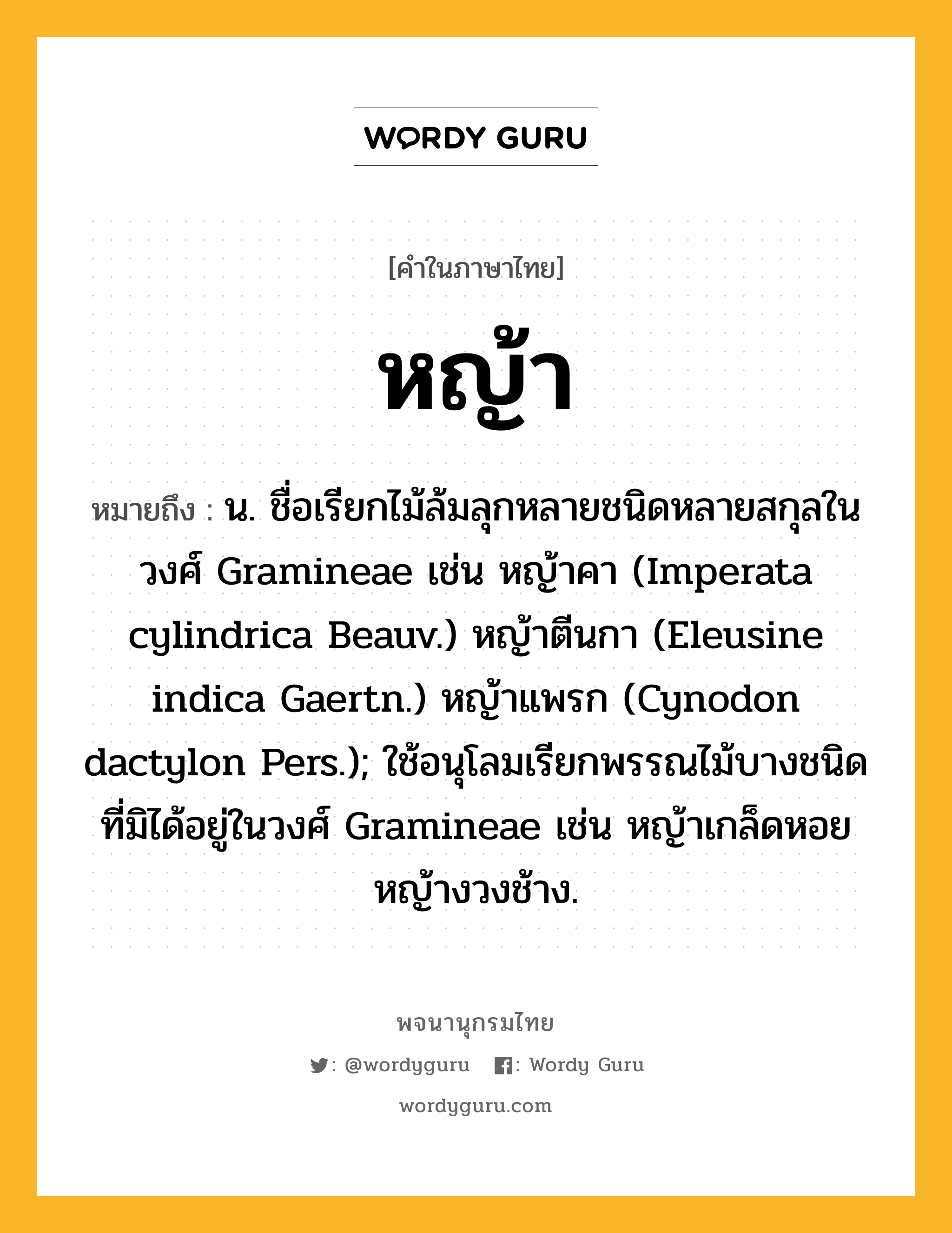 หญ้า ความหมาย หมายถึงอะไร?, คำในภาษาไทย หญ้า หมายถึง น. ชื่อเรียกไม้ล้มลุกหลายชนิดหลายสกุลในวงศ์ Gramineae เช่น หญ้าคา (Imperata cylindrica Beauv.) หญ้าตีนกา (Eleusine indica Gaertn.) หญ้าแพรก (Cynodon dactylon Pers.); ใช้อนุโลมเรียกพรรณไม้บางชนิดที่มิได้อยู่ในวงศ์ Gramineae เช่น หญ้าเกล็ดหอย หญ้างวงช้าง.