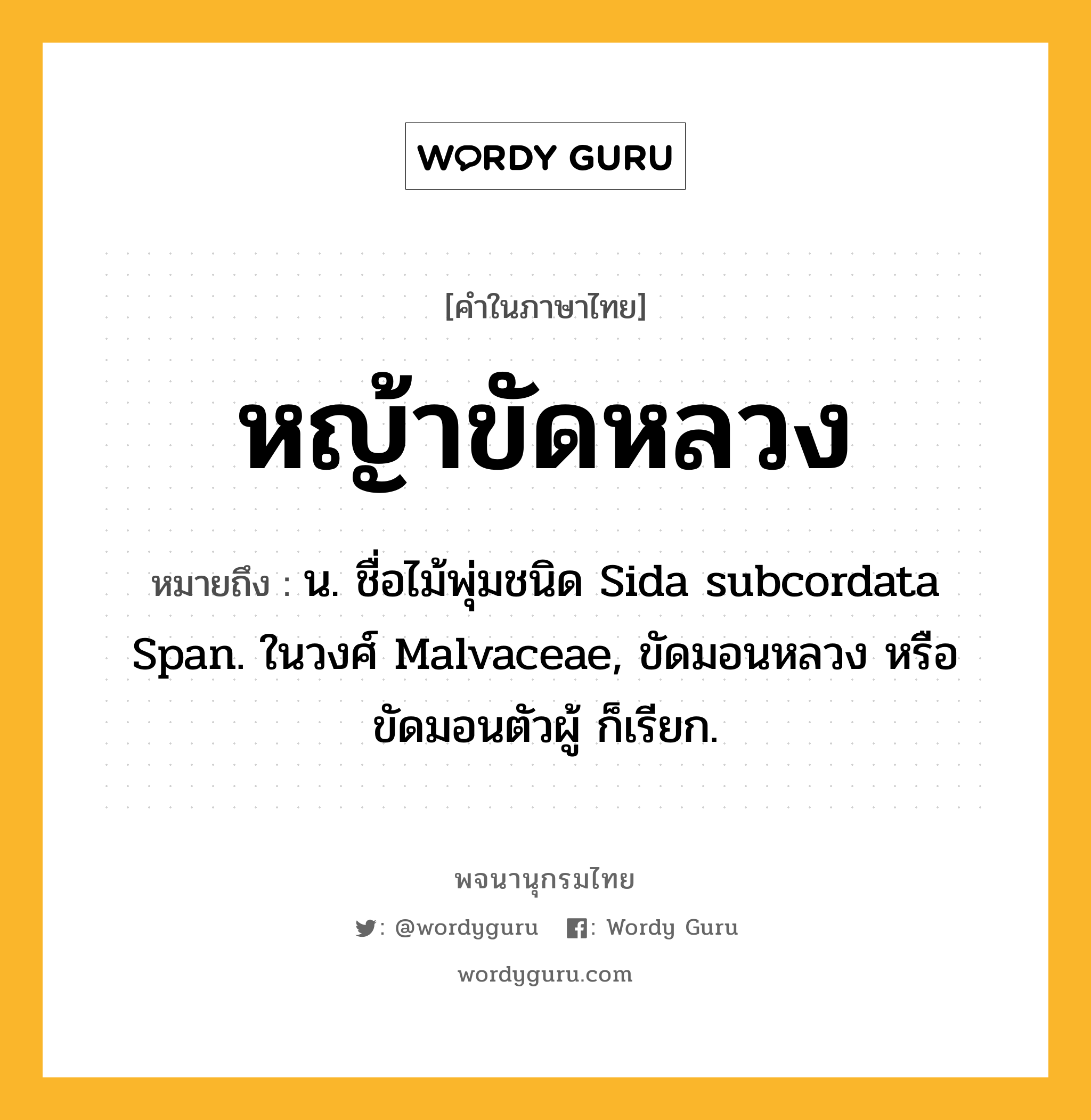 หญ้าขัดหลวง ความหมาย หมายถึงอะไร?, คำในภาษาไทย หญ้าขัดหลวง หมายถึง น. ชื่อไม้พุ่มชนิด Sida subcordata Span. ในวงศ์ Malvaceae, ขัดมอนหลวง หรือ ขัดมอนตัวผู้ ก็เรียก.