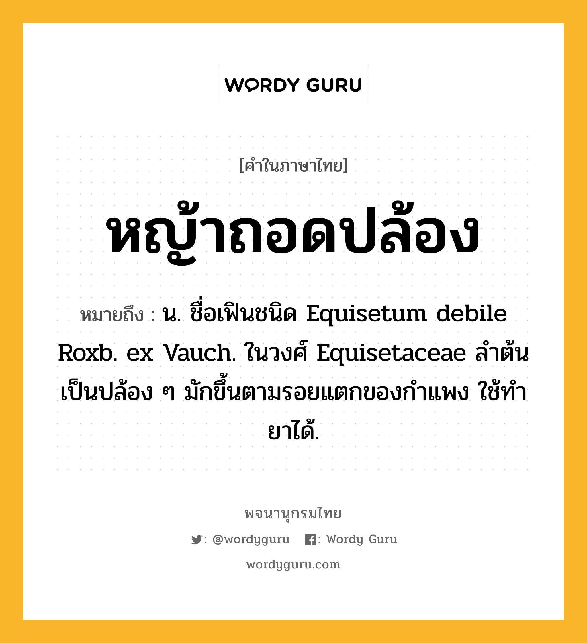 หญ้าถอดปล้อง ความหมาย หมายถึงอะไร?, คำในภาษาไทย หญ้าถอดปล้อง หมายถึง น. ชื่อเฟินชนิด Equisetum debile Roxb. ex Vauch. ในวงศ์ Equisetaceae ลําต้นเป็นปล้อง ๆ มักขึ้นตามรอยแตกของกําแพง ใช้ทํายาได้.