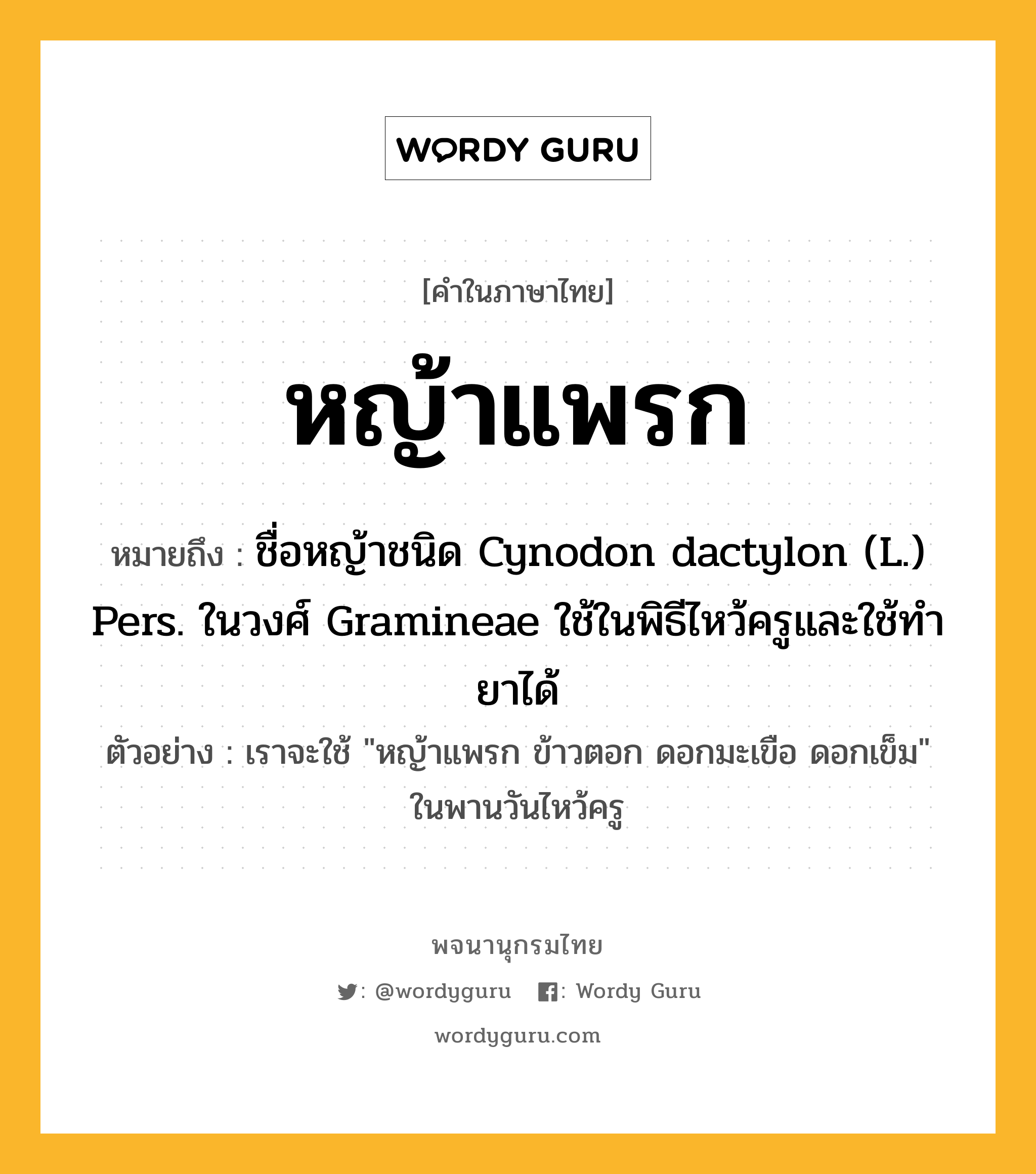 หญ้าแพรก ความหมาย หมายถึงอะไร?, คำในภาษาไทย หญ้าแพรก หมายถึง ชื่อหญ้าชนิด Cynodon dactylon (L.) Pers. ในวงศ์ Gramineae ใช้ในพิธีไหว้ครูและใช้ทำยาได้ ประเภท คำนาม ตัวอย่าง เราจะใช้ &#34;หญ้าแพรก ข้าวตอก ดอกมะเขือ ดอกเข็ม&#34; ในพานวันไหว้ครู หมวด คำนาม