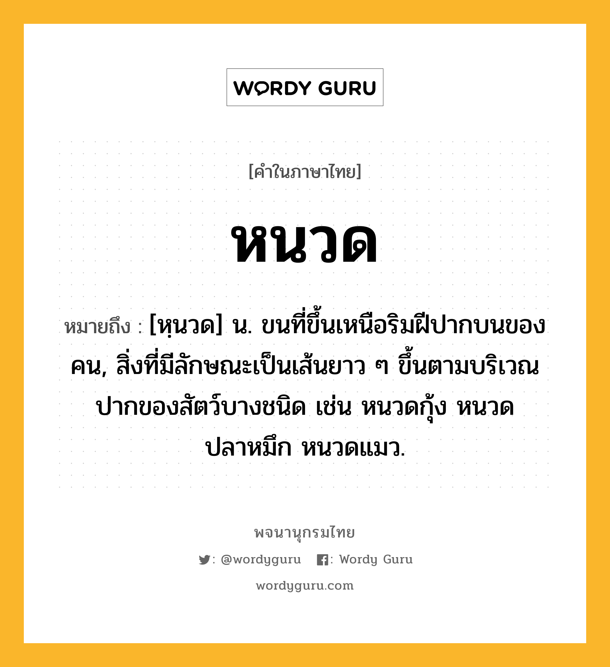 หนวด ความหมาย หมายถึงอะไร?, คำในภาษาไทย หนวด หมายถึง [หฺนวด] น. ขนที่ขึ้นเหนือริมฝีปากบนของคน, สิ่งที่มีลักษณะเป็นเส้นยาว ๆ ขึ้นตามบริเวณปากของสัตว์บางชนิด เช่น หนวดกุ้ง หนวดปลาหมึก หนวดแมว.