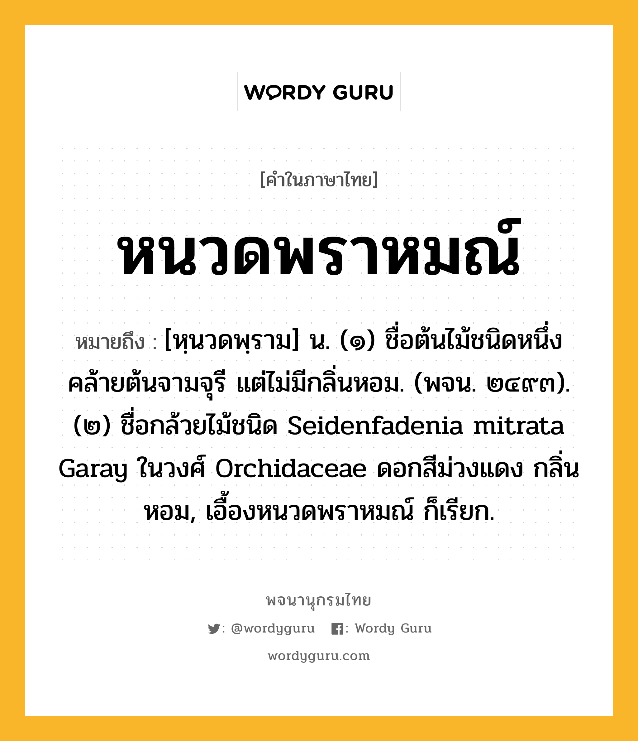 หนวดพราหมณ์ ความหมาย หมายถึงอะไร?, คำในภาษาไทย หนวดพราหมณ์ หมายถึง [หฺนวดพฺราม] น. (๑) ชื่อต้นไม้ชนิดหนึ่งคล้ายต้นจามจุรี แต่ไม่มีกลิ่นหอม. (พจน. ๒๔๙๓). (๒) ชื่อกล้วยไม้ชนิด Seidenfadenia mitrata Garay ในวงศ์ Orchidaceae ดอกสีม่วงแดง กลิ่นหอม, เอื้องหนวดพราหมณ์ ก็เรียก.