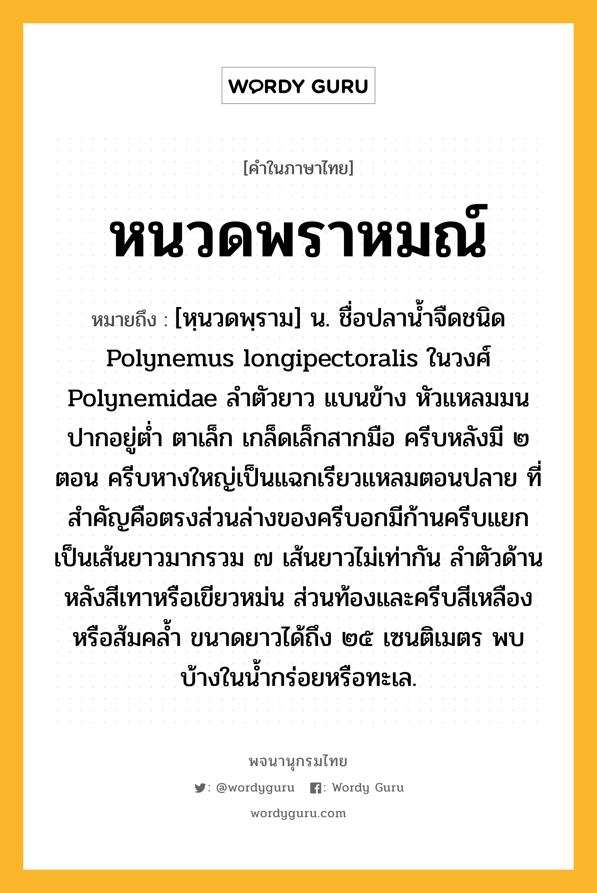 หนวดพราหมณ์ ความหมาย หมายถึงอะไร?, คำในภาษาไทย หนวดพราหมณ์ หมายถึง [หฺนวดพฺราม] น. ชื่อปลานํ้าจืดชนิด Polynemus longipectoralis ในวงศ์ Polynemidae ลําตัวยาว แบนข้าง หัวแหลมมน ปากอยู่ตํ่า ตาเล็ก เกล็ดเล็กสากมือ ครีบหลังมี ๒ ตอน ครีบหางใหญ่เป็นแฉกเรียวแหลมตอนปลาย ที่สําคัญคือตรงส่วนล่างของครีบอกมีก้านครีบแยกเป็นเส้นยาวมากรวม ๗ เส้นยาวไม่เท่ากัน ลําตัวด้านหลังสีเทาหรือเขียวหม่น ส่วนท้องและครีบสีเหลืองหรือส้มคลํ้า ขนาดยาวได้ถึง ๒๕ เซนติเมตร พบบ้างในนํ้ากร่อยหรือทะเล.