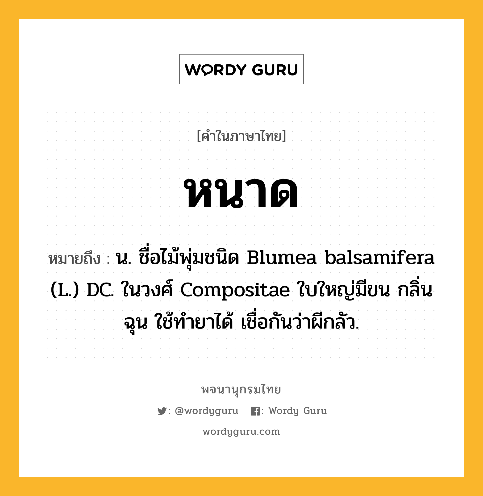 หนาด ความหมาย หมายถึงอะไร?, คำในภาษาไทย หนาด หมายถึง น. ชื่อไม้พุ่มชนิด Blumea balsamifera (L.) DC. ในวงศ์ Compositae ใบใหญ่มีขน กลิ่นฉุน ใช้ทํายาได้ เชื่อกันว่าผีกลัว.