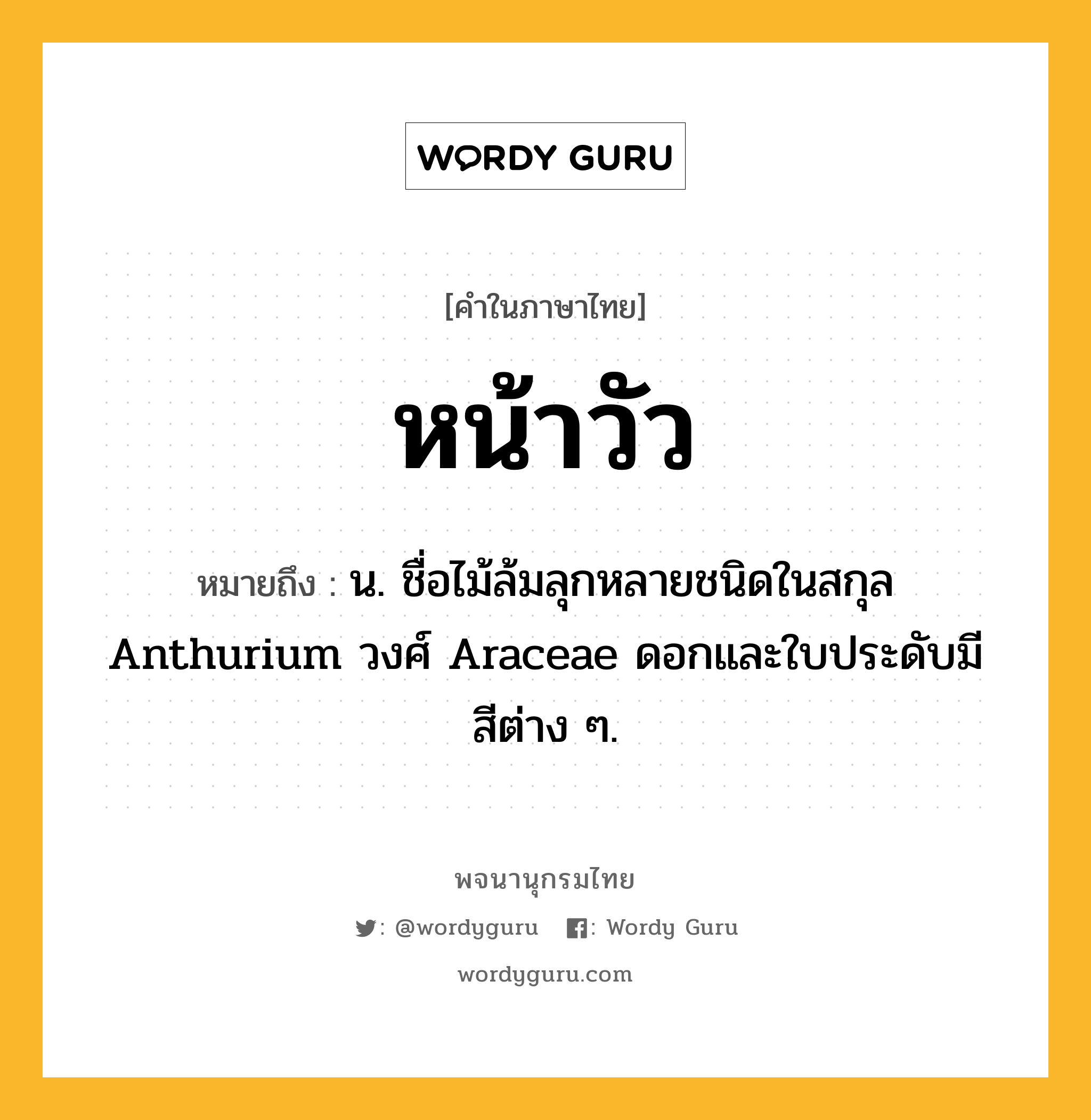 หน้าวัว ความหมาย หมายถึงอะไร?, คำในภาษาไทย หน้าวัว หมายถึง น. ชื่อไม้ล้มลุกหลายชนิดในสกุล Anthurium วงศ์ Araceae ดอกและใบประดับมีสีต่าง ๆ.