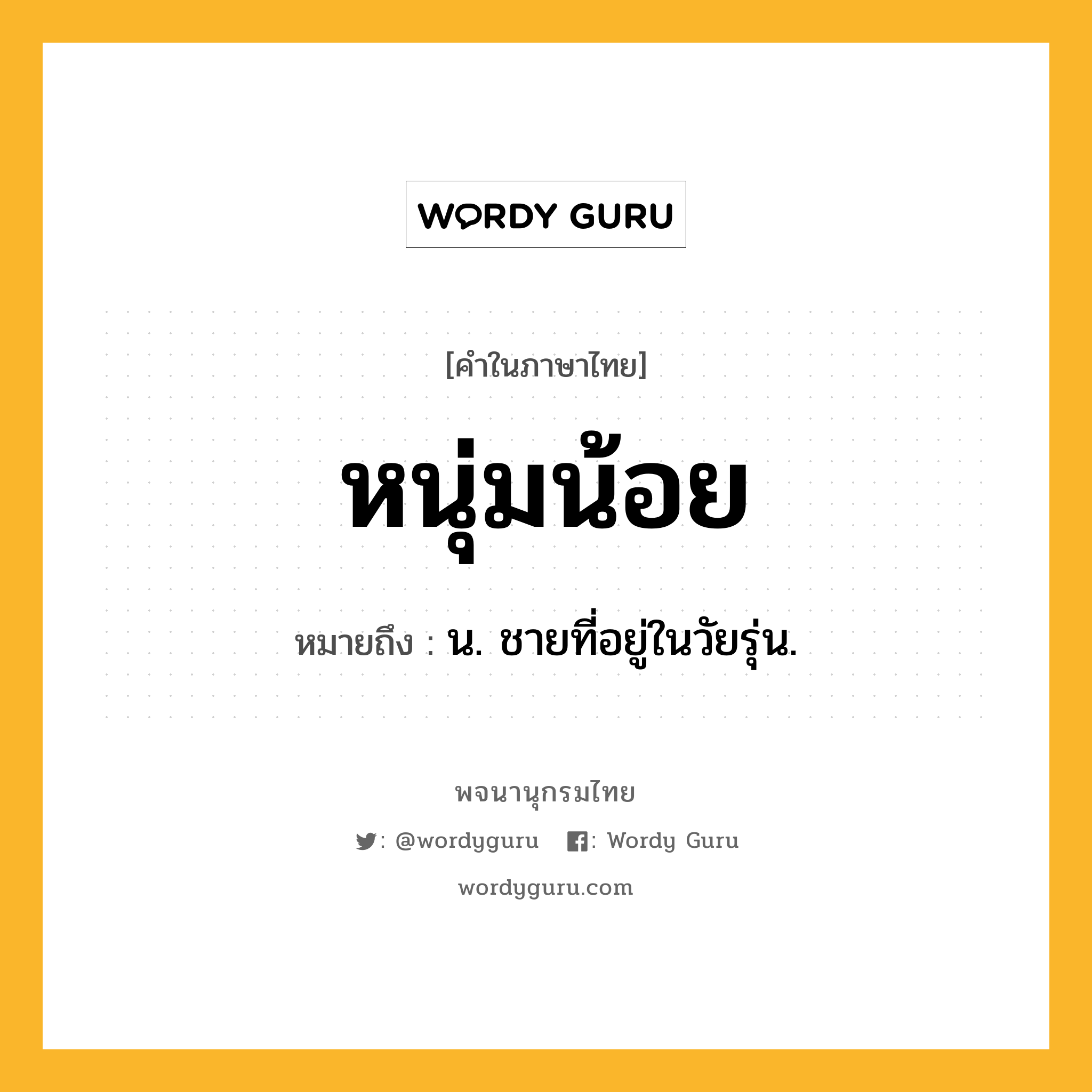 หนุ่มน้อย ความหมาย หมายถึงอะไร?, คำในภาษาไทย หนุ่มน้อย หมายถึง น. ชายที่อยู่ในวัยรุ่น.