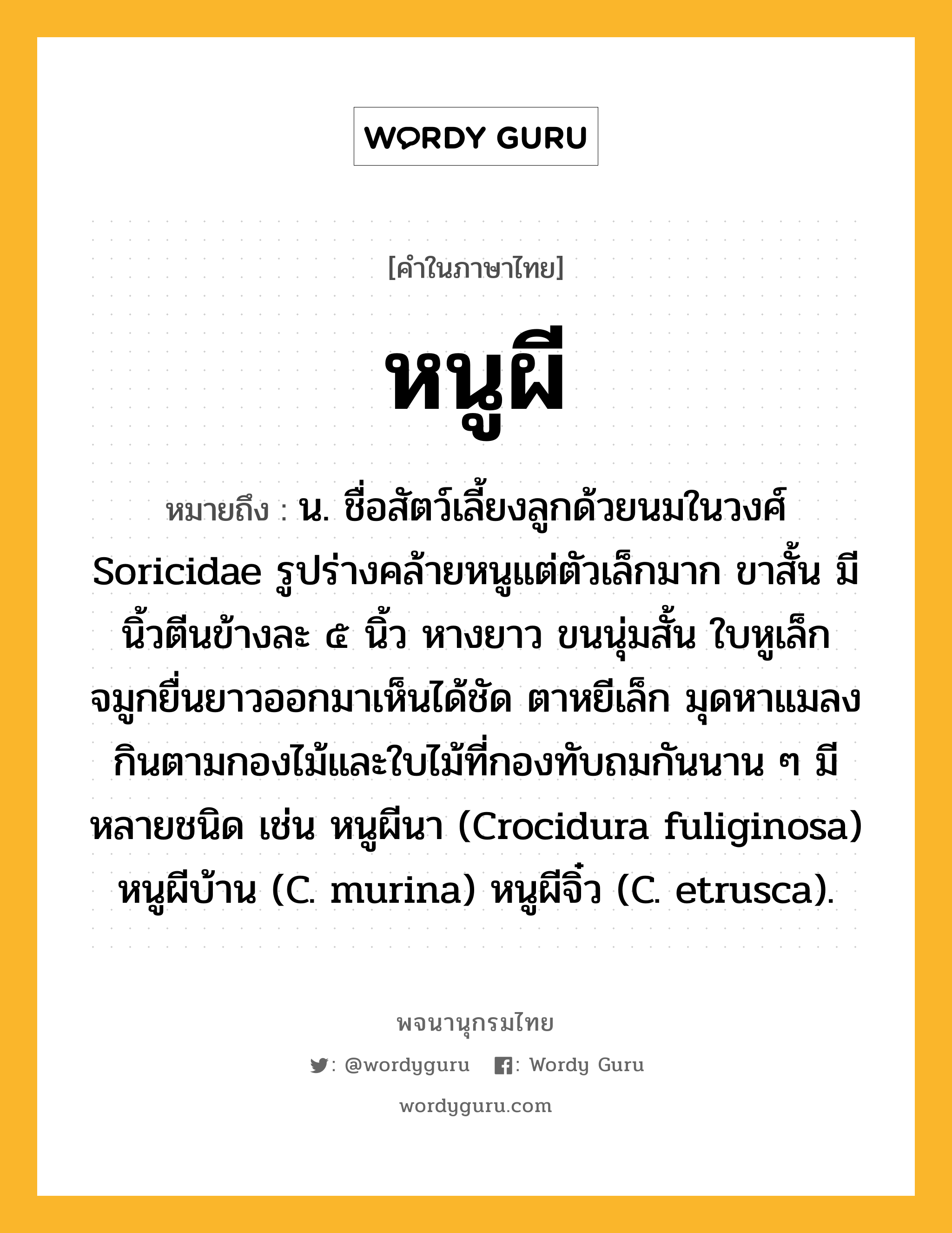 หนูผี ความหมาย หมายถึงอะไร?, คำในภาษาไทย หนูผี หมายถึง น. ชื่อสัตว์เลี้ยงลูกด้วยนมในวงศ์ Soricidae รูปร่างคล้ายหนูแต่ตัวเล็กมาก ขาสั้น มีนิ้วตีนข้างละ ๕ นิ้ว หางยาว ขนนุ่มสั้น ใบหูเล็ก จมูกยื่นยาวออกมาเห็นได้ชัด ตาหยีเล็ก มุดหาแมลงกินตามกองไม้และใบไม้ที่กองทับถมกันนาน ๆ มีหลายชนิด เช่น หนูผีนา (Crocidura fuliginosa) หนูผีบ้าน (C. murina) หนูผีจิ๋ว (C. etrusca).