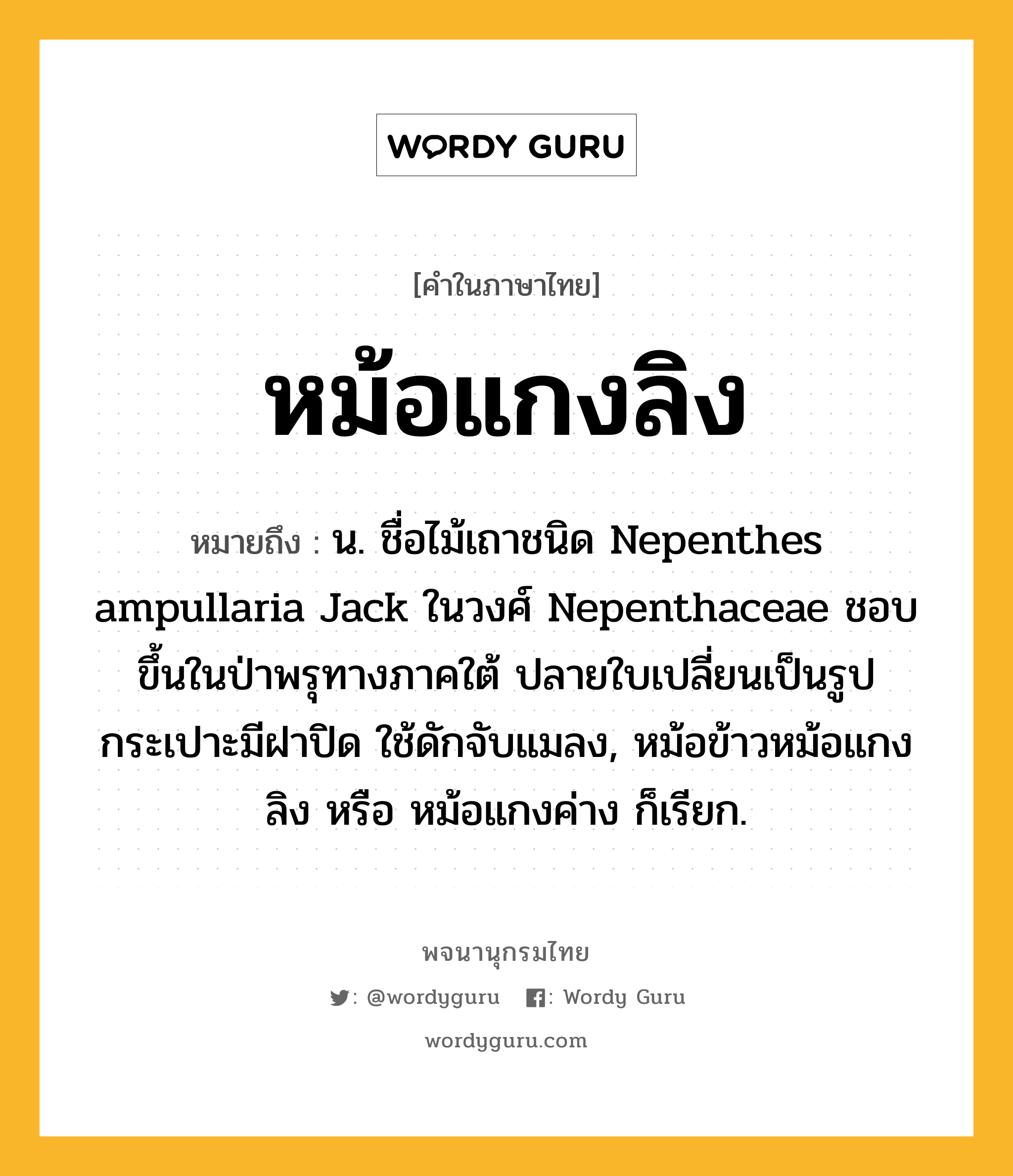 หม้อแกงลิง ความหมาย หมายถึงอะไร?, คำในภาษาไทย หม้อแกงลิง หมายถึง น. ชื่อไม้เถาชนิด Nepenthes ampullaria Jack ในวงศ์ Nepenthaceae ชอบขึ้นในป่าพรุทางภาคใต้ ปลายใบเปลี่ยนเป็นรูปกระเปาะมีฝาปิด ใช้ดักจับแมลง, หม้อข้าวหม้อแกงลิง หรือ หม้อแกงค่าง ก็เรียก.