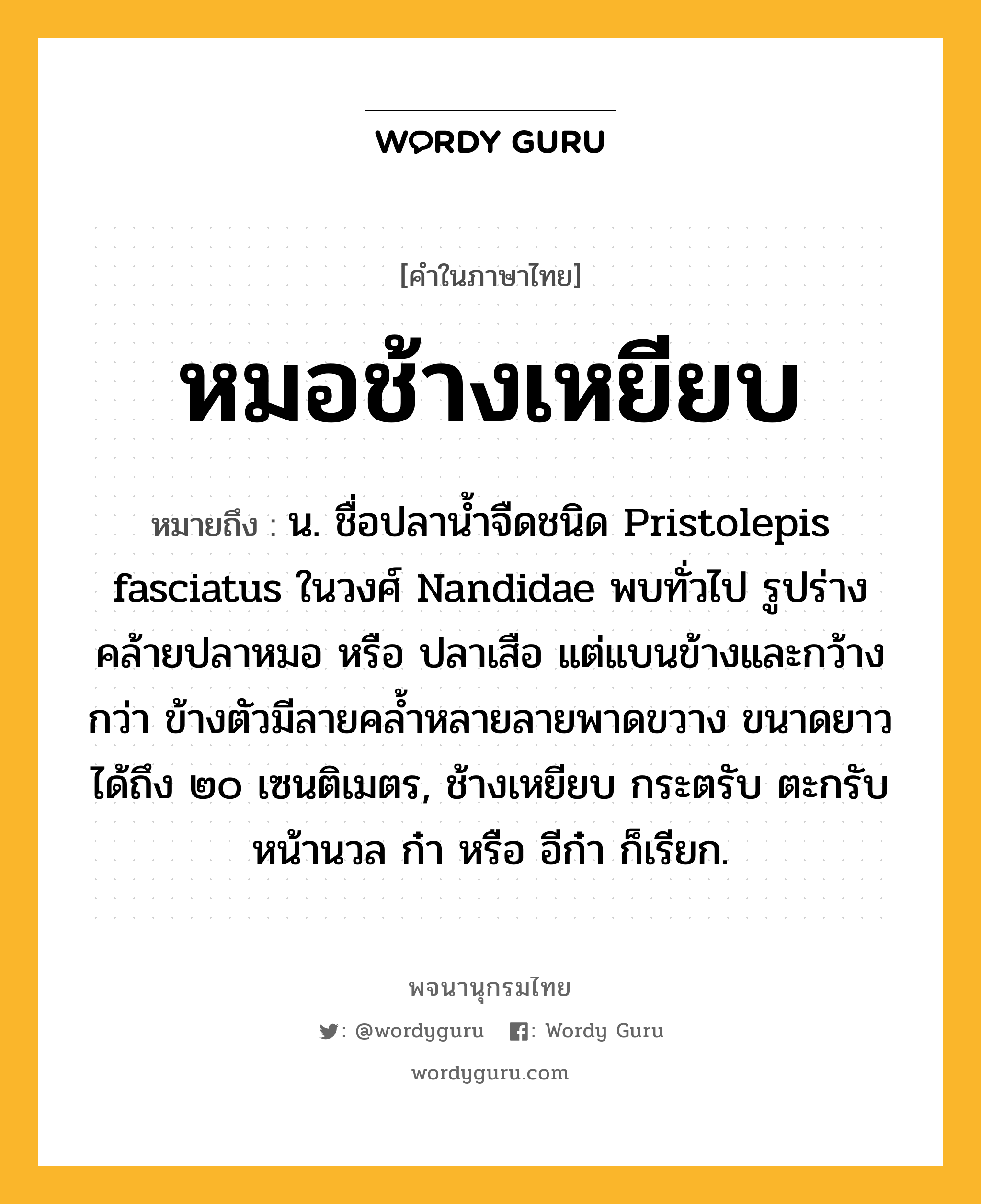 หมอช้างเหยียบ ความหมาย หมายถึงอะไร?, คำในภาษาไทย หมอช้างเหยียบ หมายถึง น. ชื่อปลานํ้าจืดชนิด Pristolepis fasciatus ในวงศ์ Nandidae พบทั่วไป รูปร่างคล้ายปลาหมอ หรือ ปลาเสือ แต่แบนข้างและกว้างกว่า ข้างตัวมีลายคลํ้าหลายลายพาดขวาง ขนาดยาวได้ถึง ๒๐ เซนติเมตร, ช้างเหยียบ กระตรับ ตะกรับหน้านวล ก๋า หรือ อีก๋า ก็เรียก.