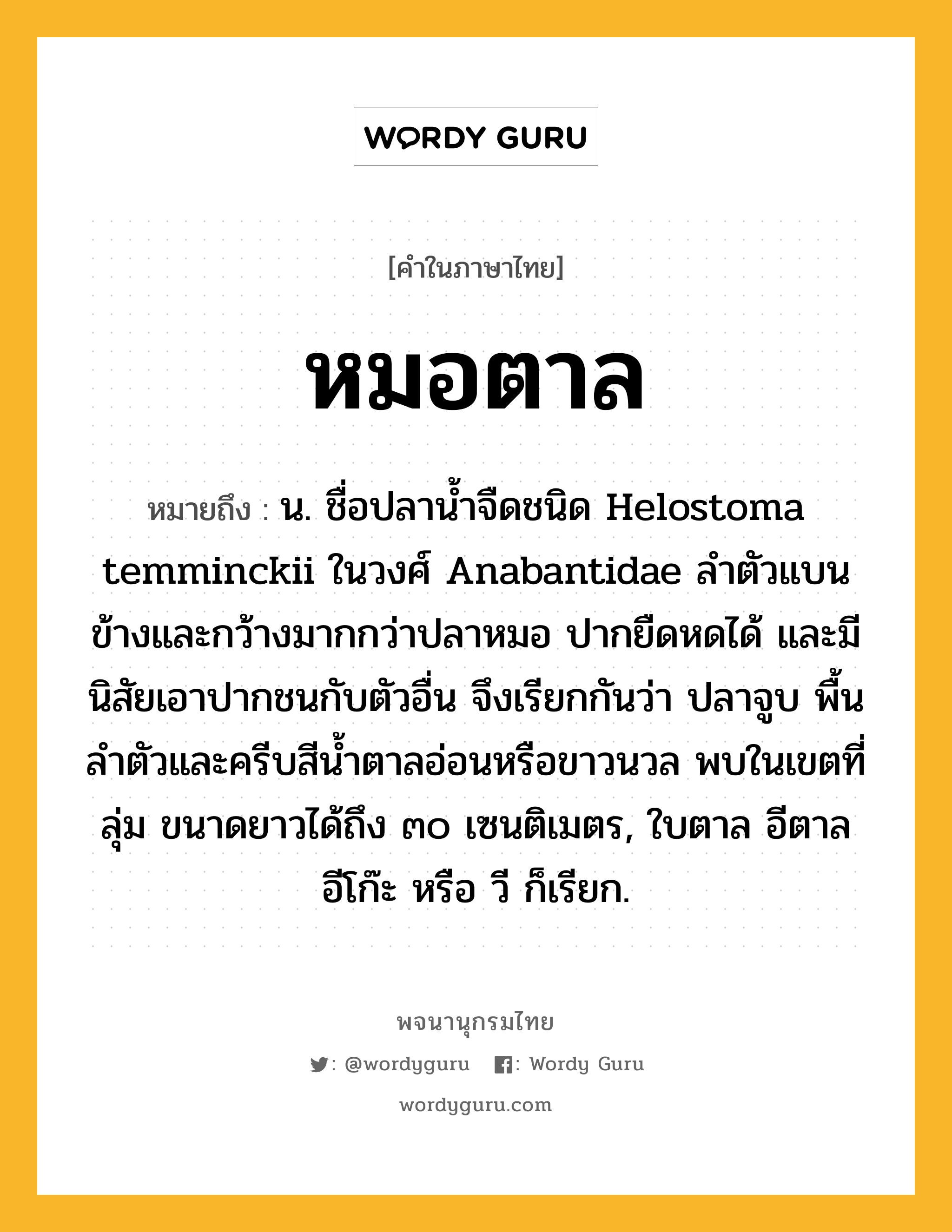 หมอตาล ความหมาย หมายถึงอะไร?, คำในภาษาไทย หมอตาล หมายถึง น. ชื่อปลานํ้าจืดชนิด Helostoma temminckii ในวงศ์ Anabantidae ลําตัวแบนข้างและกว้างมากกว่าปลาหมอ ปากยืดหดได้ และมีนิสัยเอาปากชนกับตัวอื่น จึงเรียกกันว่า ปลาจูบ พื้นลําตัวและครีบสีนํ้าตาลอ่อนหรือขาวนวล พบในเขตที่ลุ่ม ขนาดยาวได้ถึง ๓๐ เซนติเมตร, ใบตาล อีตาล อีโก๊ะ หรือ วี ก็เรียก.