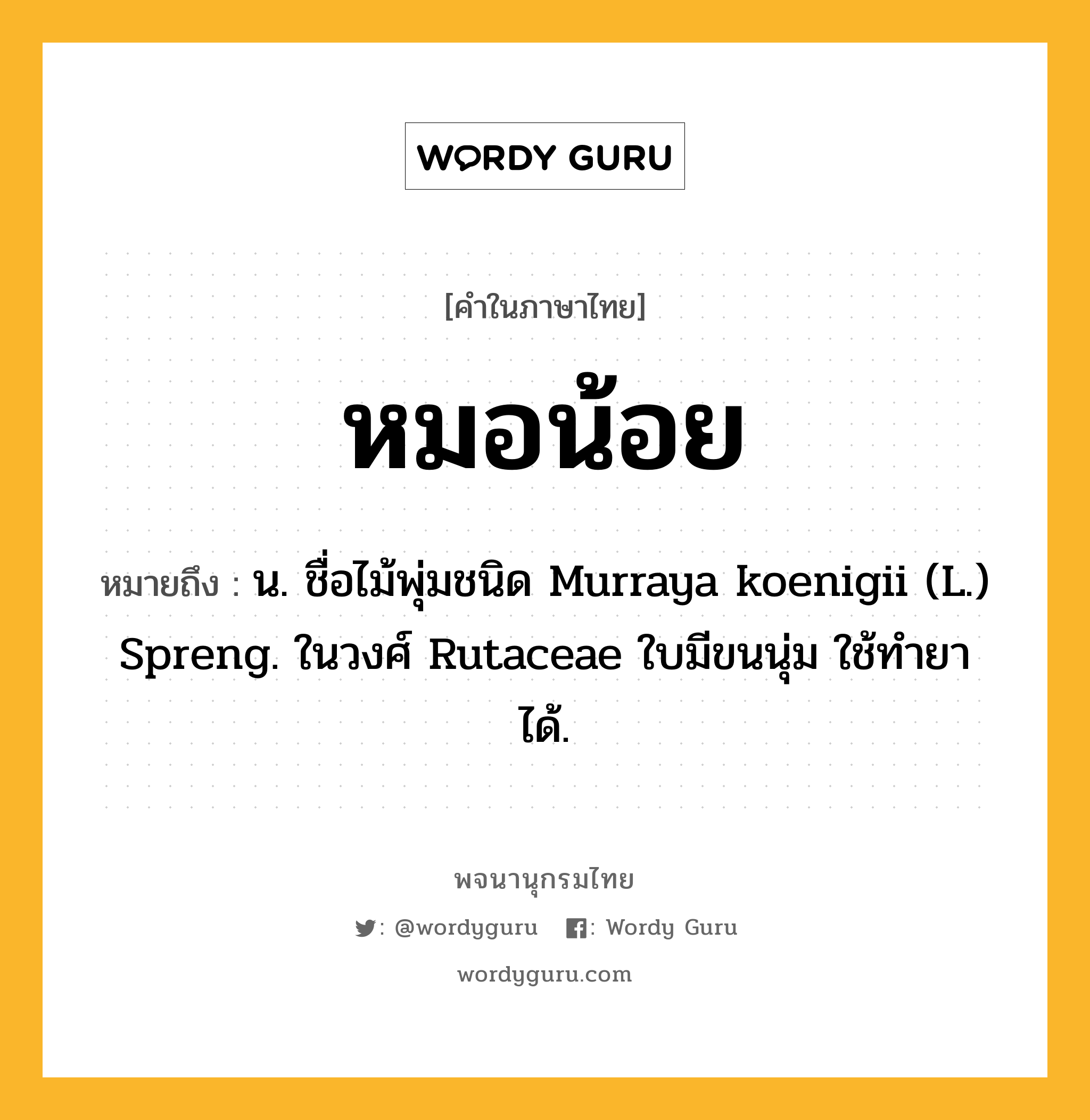 หมอน้อย ความหมาย หมายถึงอะไร?, คำในภาษาไทย หมอน้อย หมายถึง น. ชื่อไม้พุ่มชนิด Murraya koenigii (L.) Spreng. ในวงศ์ Rutaceae ใบมีขนนุ่ม ใช้ทํายาได้.