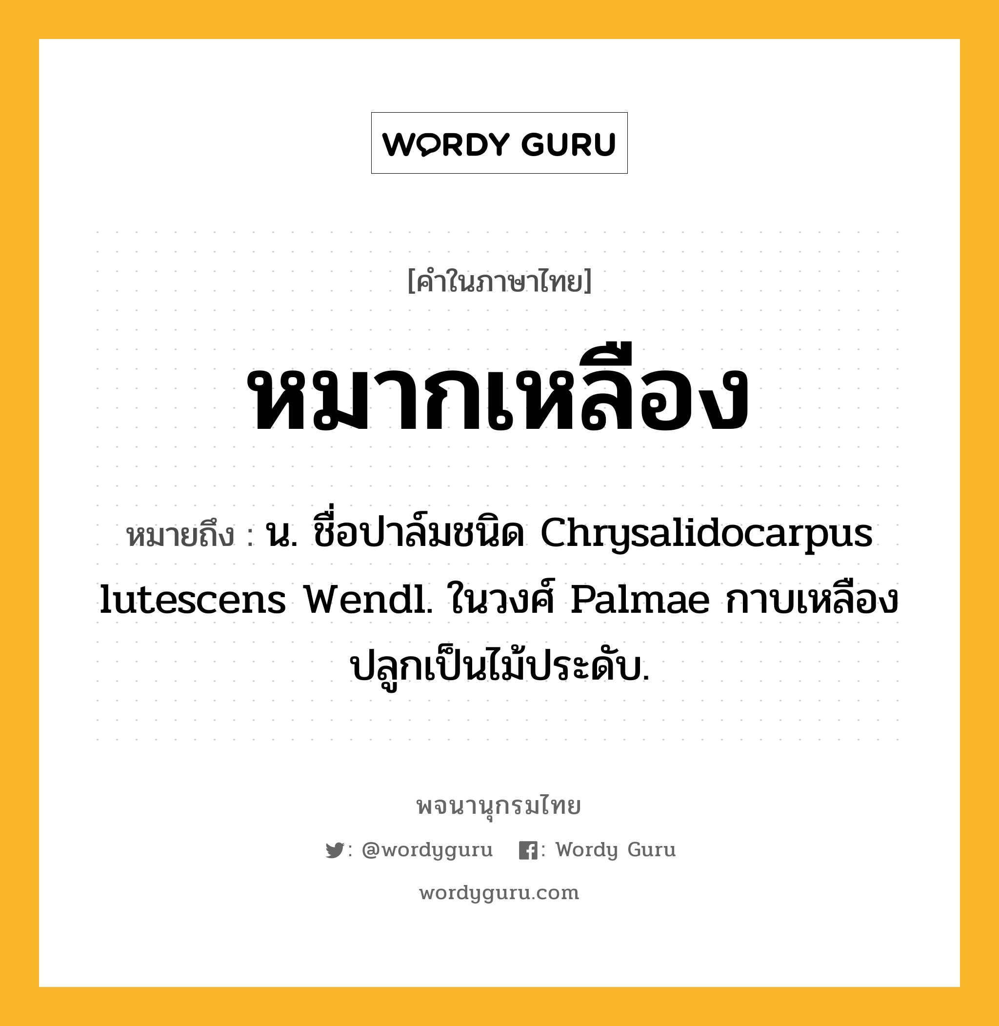 หมากเหลือง ความหมาย หมายถึงอะไร?, คำในภาษาไทย หมากเหลือง หมายถึง น. ชื่อปาล์มชนิด Chrysalidocarpus lutescens Wendl. ในวงศ์ Palmae กาบเหลือง ปลูกเป็นไม้ประดับ.