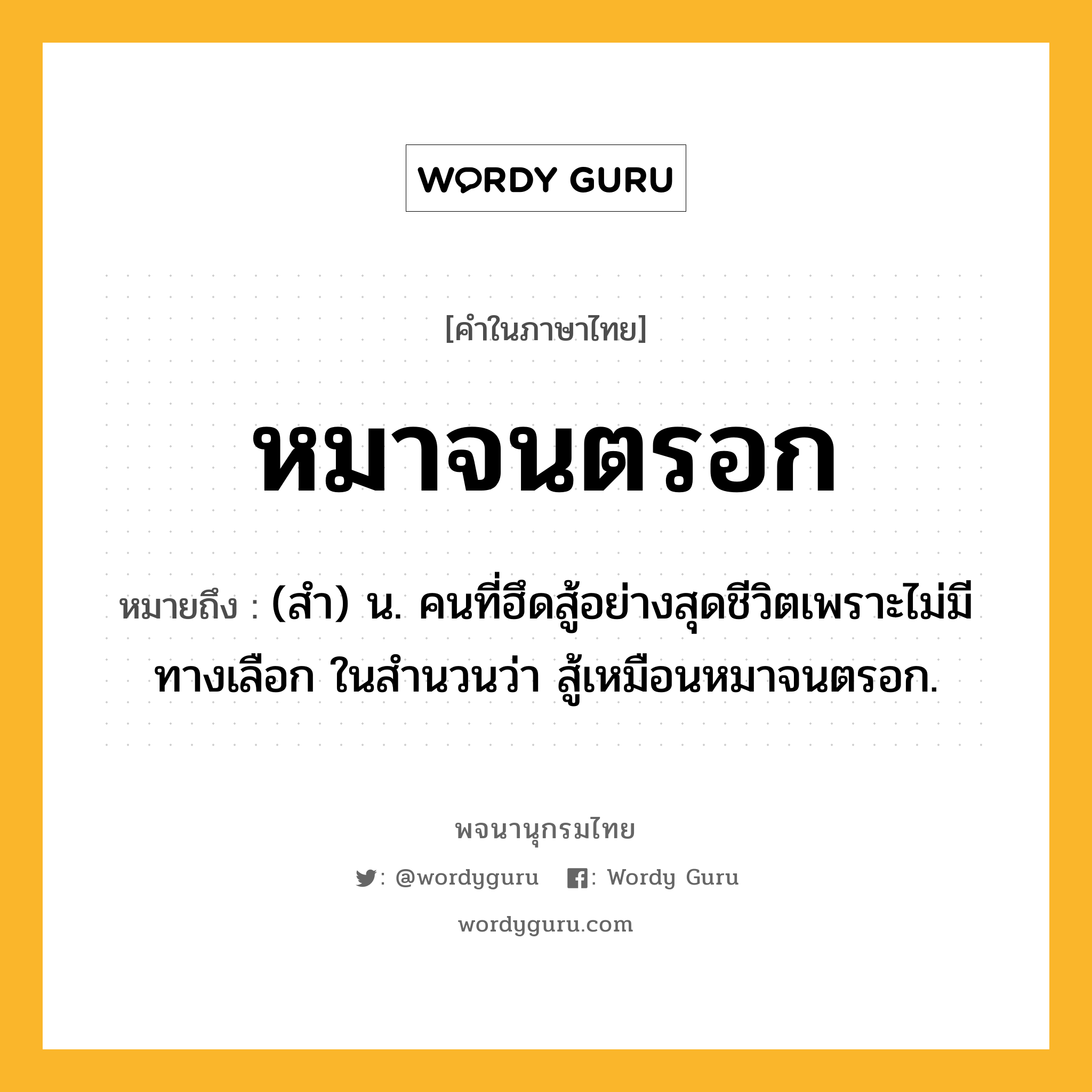 หมาจนตรอก ความหมาย หมายถึงอะไร?, คำในภาษาไทย หมาจนตรอก หมายถึง (สำ) น. คนที่ฮึดสู้อย่างสุดชีวิตเพราะไม่มีทางเลือก ในสำนวนว่า สู้เหมือนหมาจนตรอก.