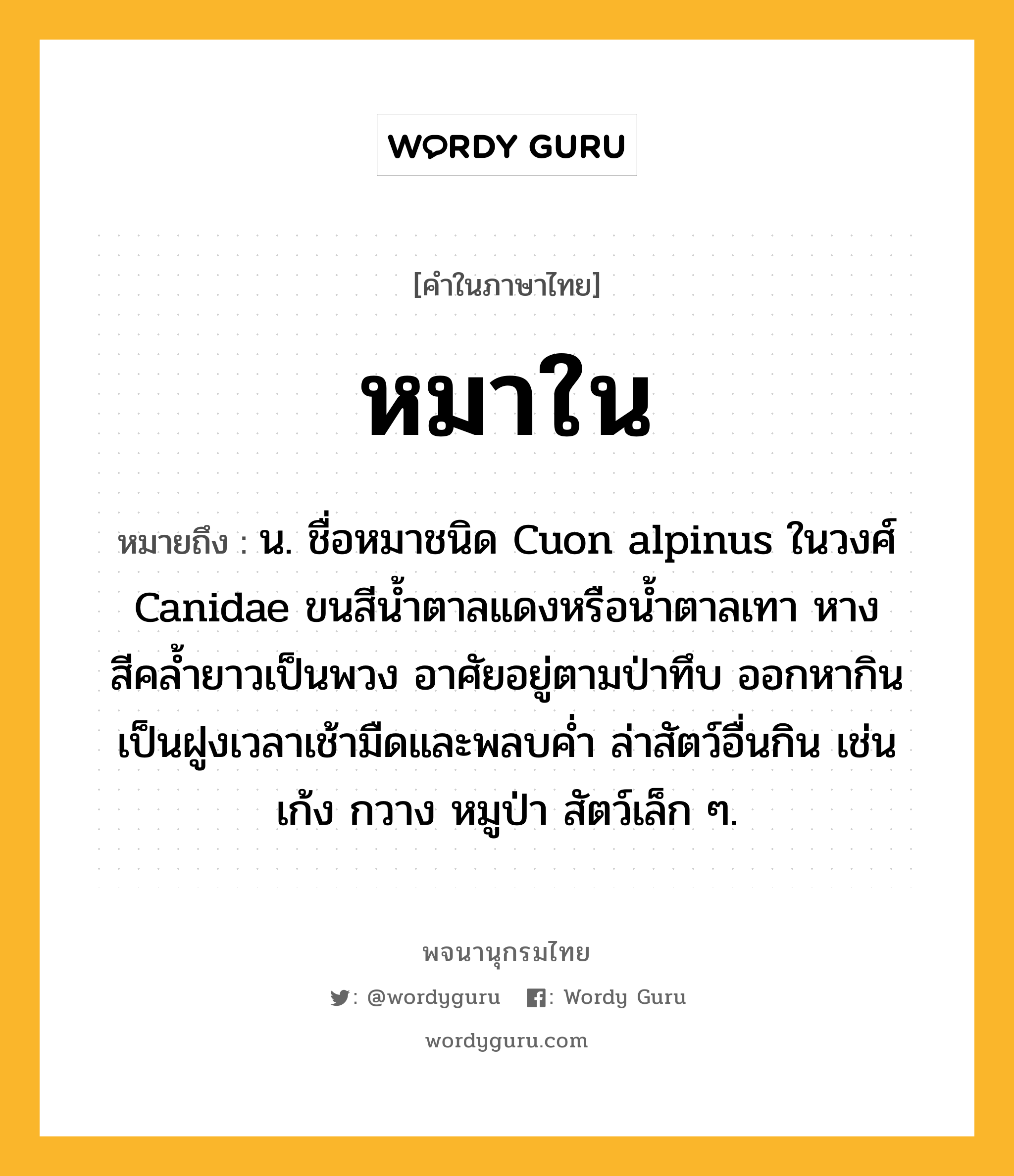 หมาใน ความหมาย หมายถึงอะไร?, คำในภาษาไทย หมาใน หมายถึง น. ชื่อหมาชนิด Cuon alpinus ในวงศ์ Canidae ขนสีน้ำตาลแดงหรือน้ำตาลเทา หางสีคลํ้ายาวเป็นพวง อาศัยอยู่ตามป่าทึบ ออกหากินเป็นฝูงเวลาเช้ามืดและพลบคํ่า ล่าสัตว์อื่นกิน เช่น เก้ง กวาง หมูป่า สัตว์เล็ก ๆ.