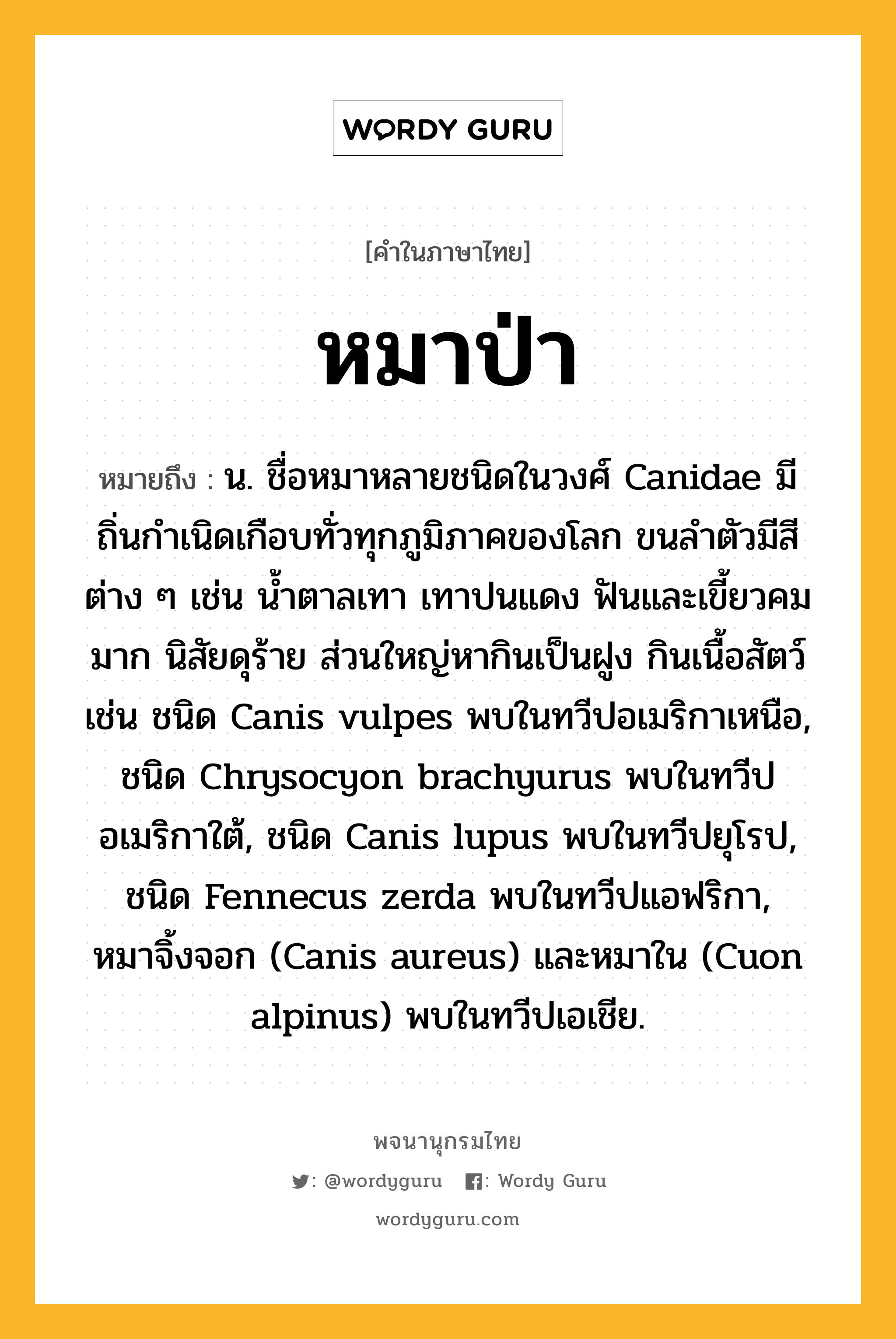 หมาป่า ความหมาย หมายถึงอะไร?, คำในภาษาไทย หมาป่า หมายถึง น. ชื่อหมาหลายชนิดในวงศ์ Canidae มีถิ่นกําเนิดเกือบทั่วทุกภูมิภาคของโลก ขนลําตัวมีสีต่าง ๆ เช่น นํ้าตาลเทา เทาปนแดง ฟันและเขี้ยวคมมาก นิสัยดุร้าย ส่วนใหญ่หากินเป็นฝูง กินเนื้อสัตว์ เช่น ชนิด Canis vulpes พบในทวีปอเมริกาเหนือ, ชนิด Chrysocyon brachyurus พบในทวีปอเมริกาใต้, ชนิด Canis lupus พบในทวีปยุโรป, ชนิด Fennecus zerda พบในทวีปแอฟริกา, หมาจิ้งจอก (Canis aureus) และหมาใน (Cuon alpinus) พบในทวีปเอเชีย.