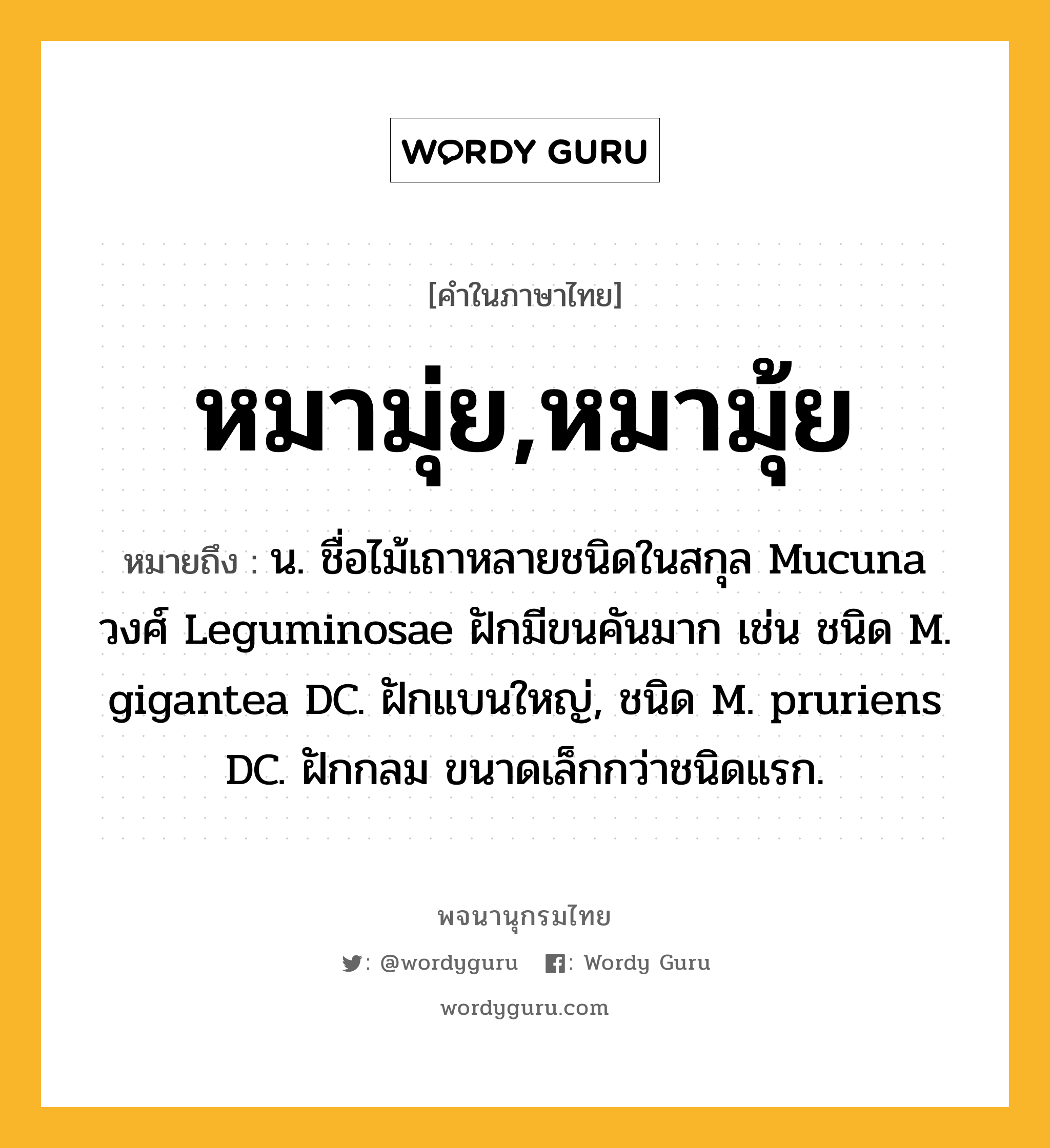 หมามุ่ย,หมามุ้ย ความหมาย หมายถึงอะไร?, คำในภาษาไทย หมามุ่ย,หมามุ้ย หมายถึง น. ชื่อไม้เถาหลายชนิดในสกุล Mucuna วงศ์ Leguminosae ฝักมีขนคันมาก เช่น ชนิด M. gigantea DC. ฝักแบนใหญ่, ชนิด M. pruriens DC. ฝักกลม ขนาดเล็กกว่าชนิดแรก.