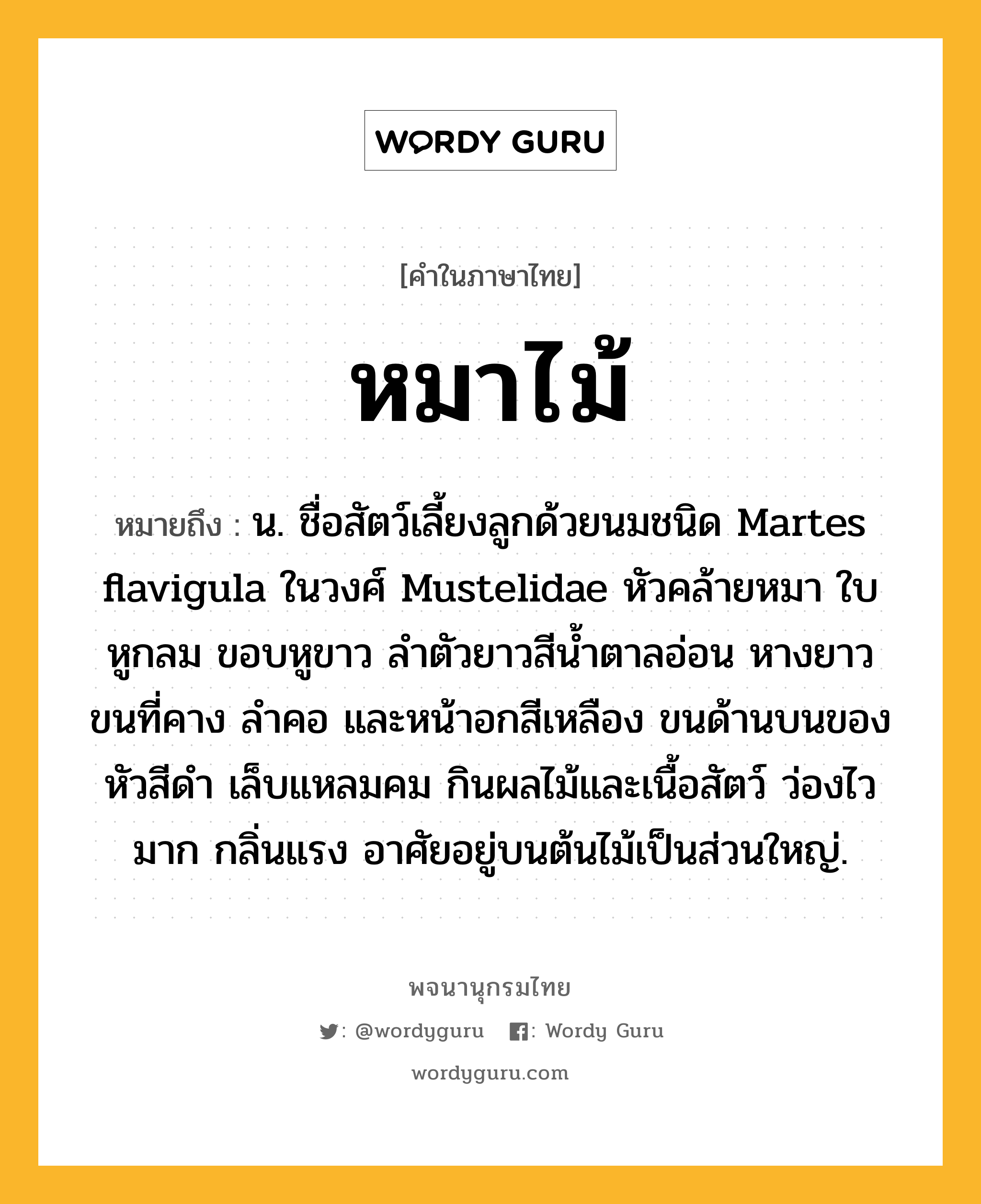 หมาไม้ ความหมาย หมายถึงอะไร?, คำในภาษาไทย หมาไม้ หมายถึง น. ชื่อสัตว์เลี้ยงลูกด้วยนมชนิด Martes flavigula ในวงศ์ Mustelidae หัวคล้ายหมา ใบหูกลม ขอบหูขาว ลําตัวยาวสีนํ้าตาลอ่อน หางยาว ขนที่คาง ลําคอ และหน้าอกสีเหลือง ขนด้านบนของหัวสีดํา เล็บแหลมคม กินผลไม้และเนื้อสัตว์ ว่องไวมาก กลิ่นแรง อาศัยอยู่บนต้นไม้เป็นส่วนใหญ่.